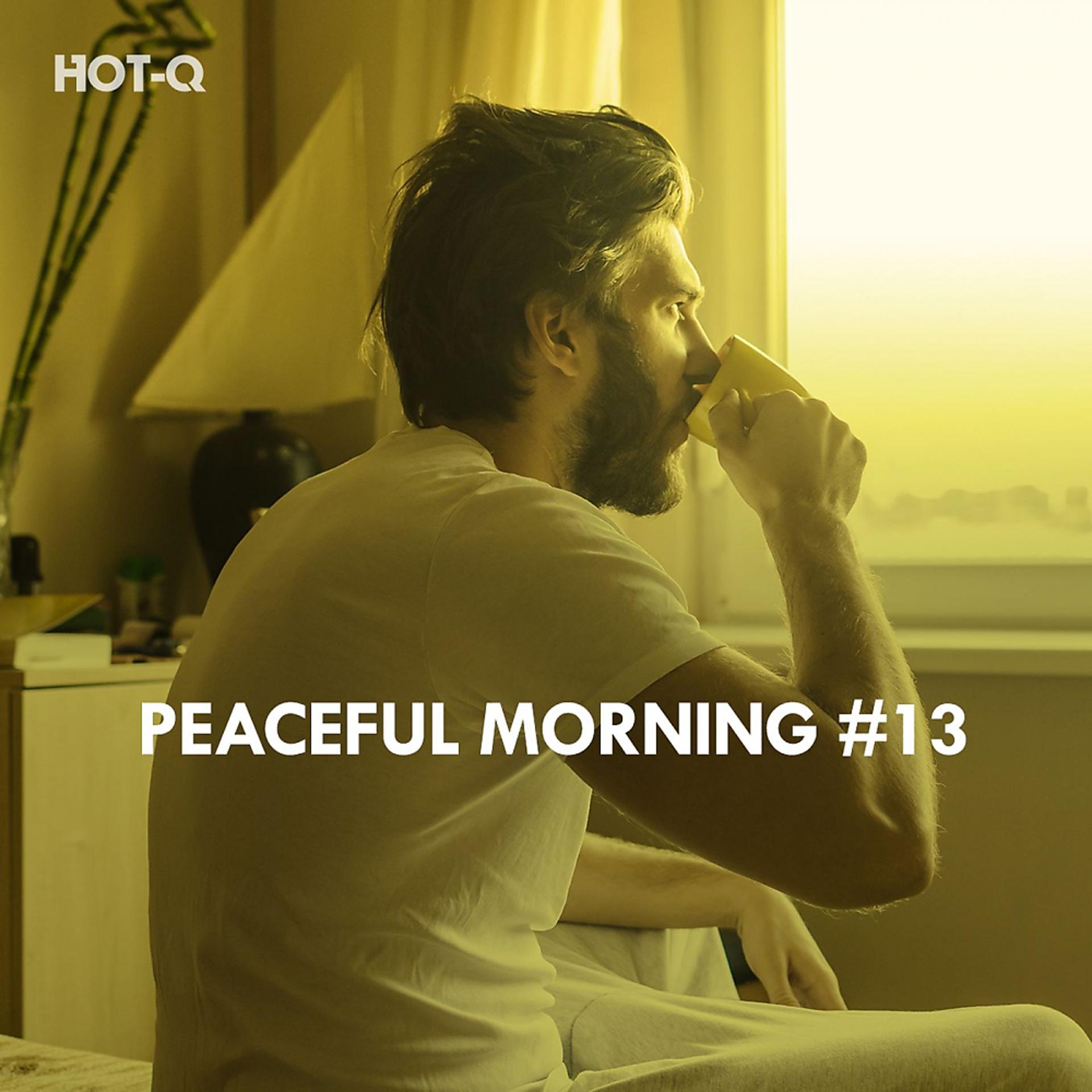Постер альбома Peaceful Morning, Vol. 13