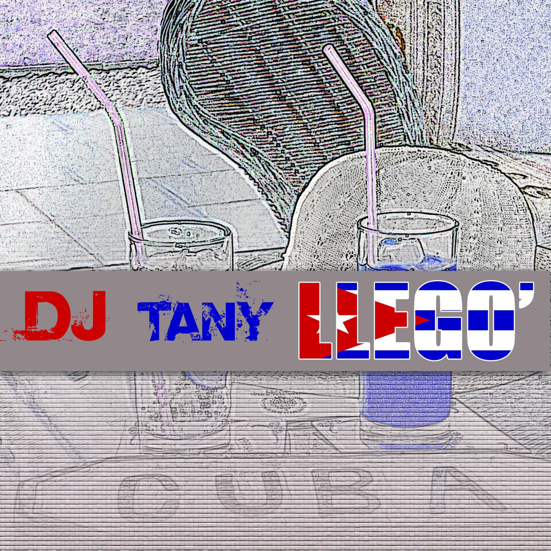 Постер альбома DJ Tany Llego'