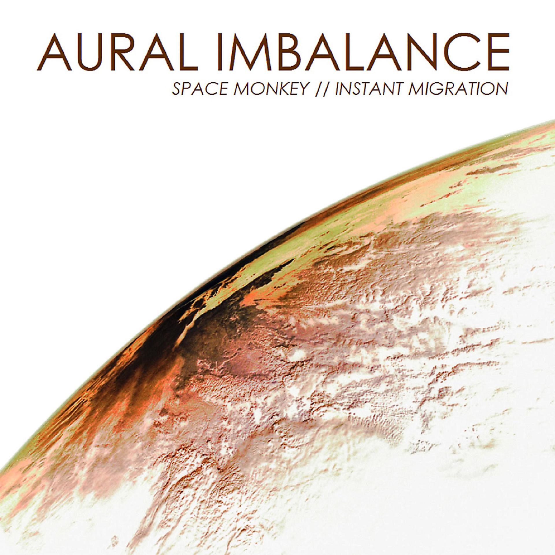 Постер альбома Instant Migration