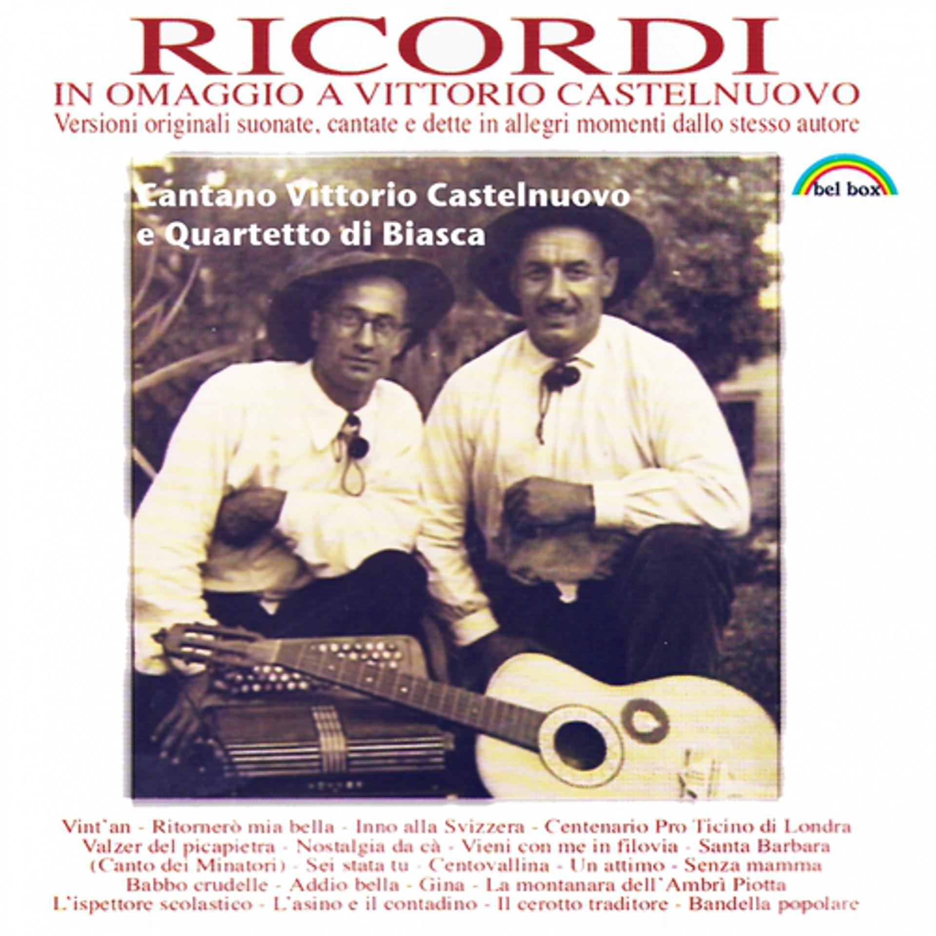 Постер альбома Ricordi in omaggio a vittorio castelnuovo