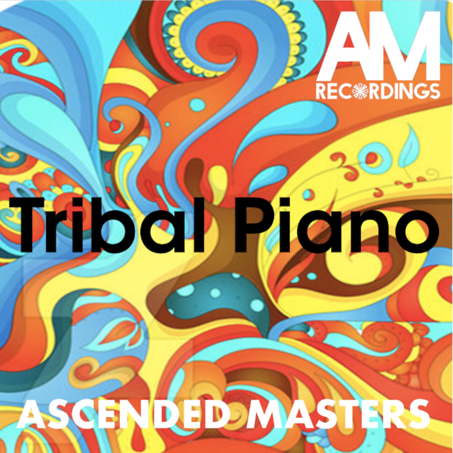 Постер альбома Tribal Piano