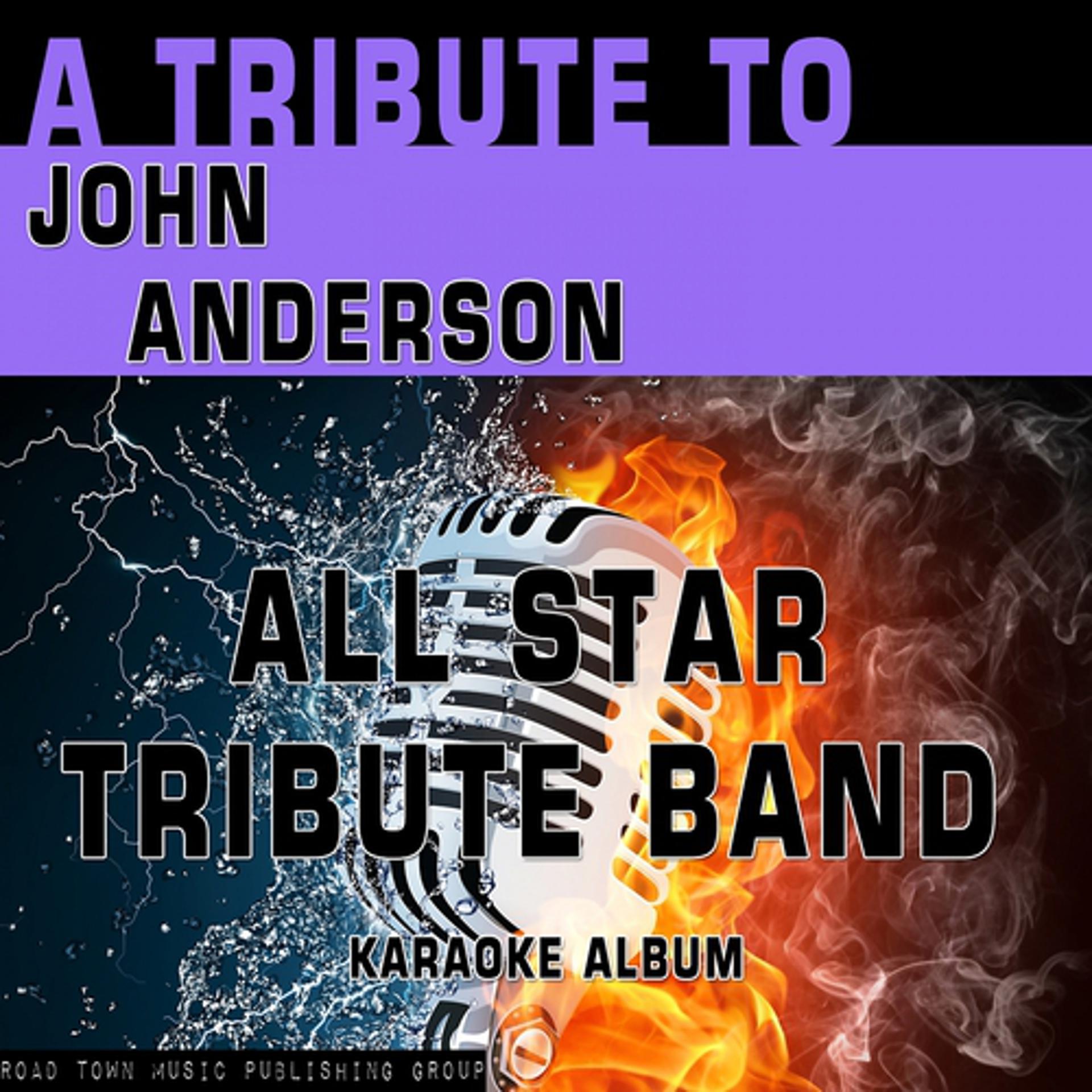 Постер альбома A Tribute to John Anderson (Karaoke Version)