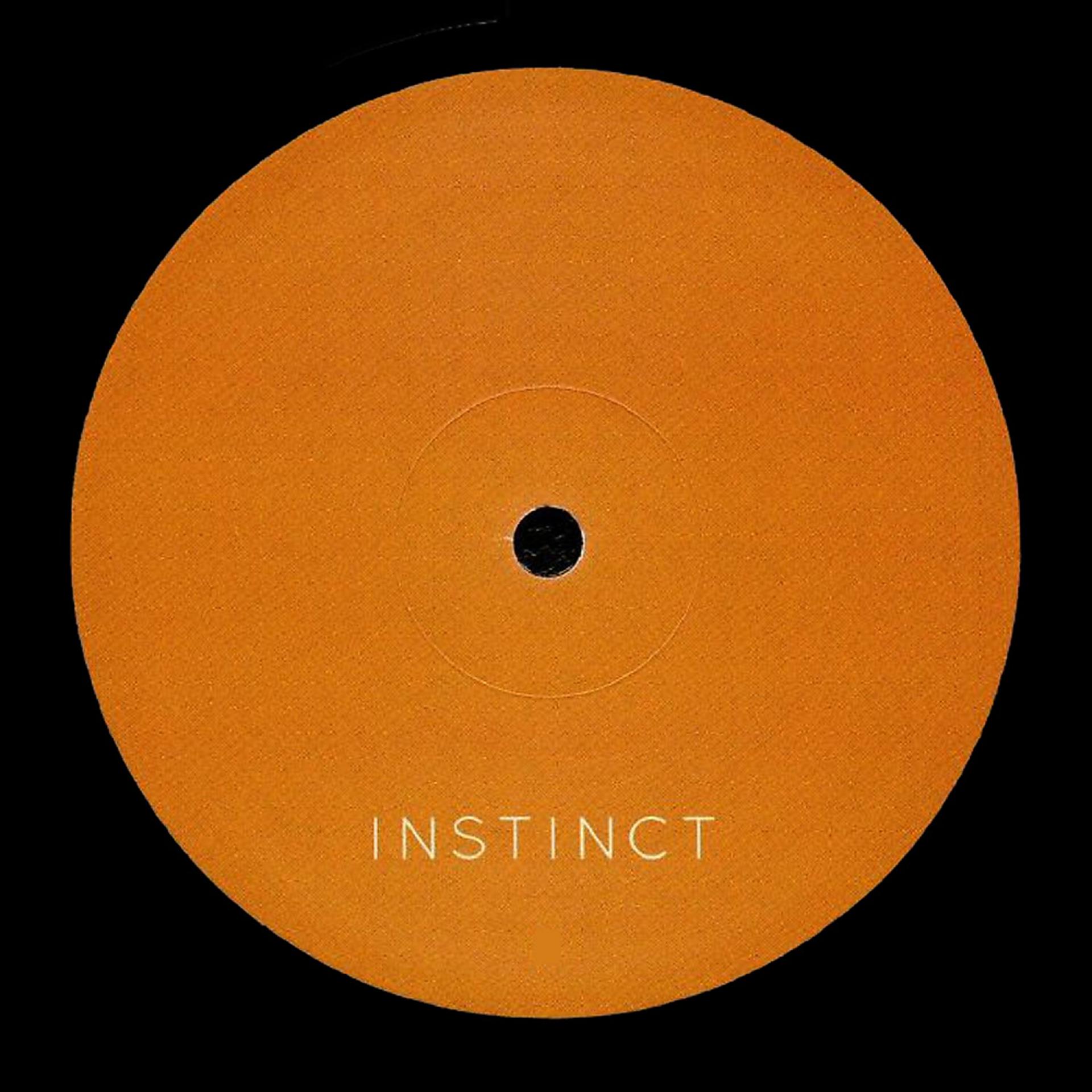 Постер альбома Instinct 07