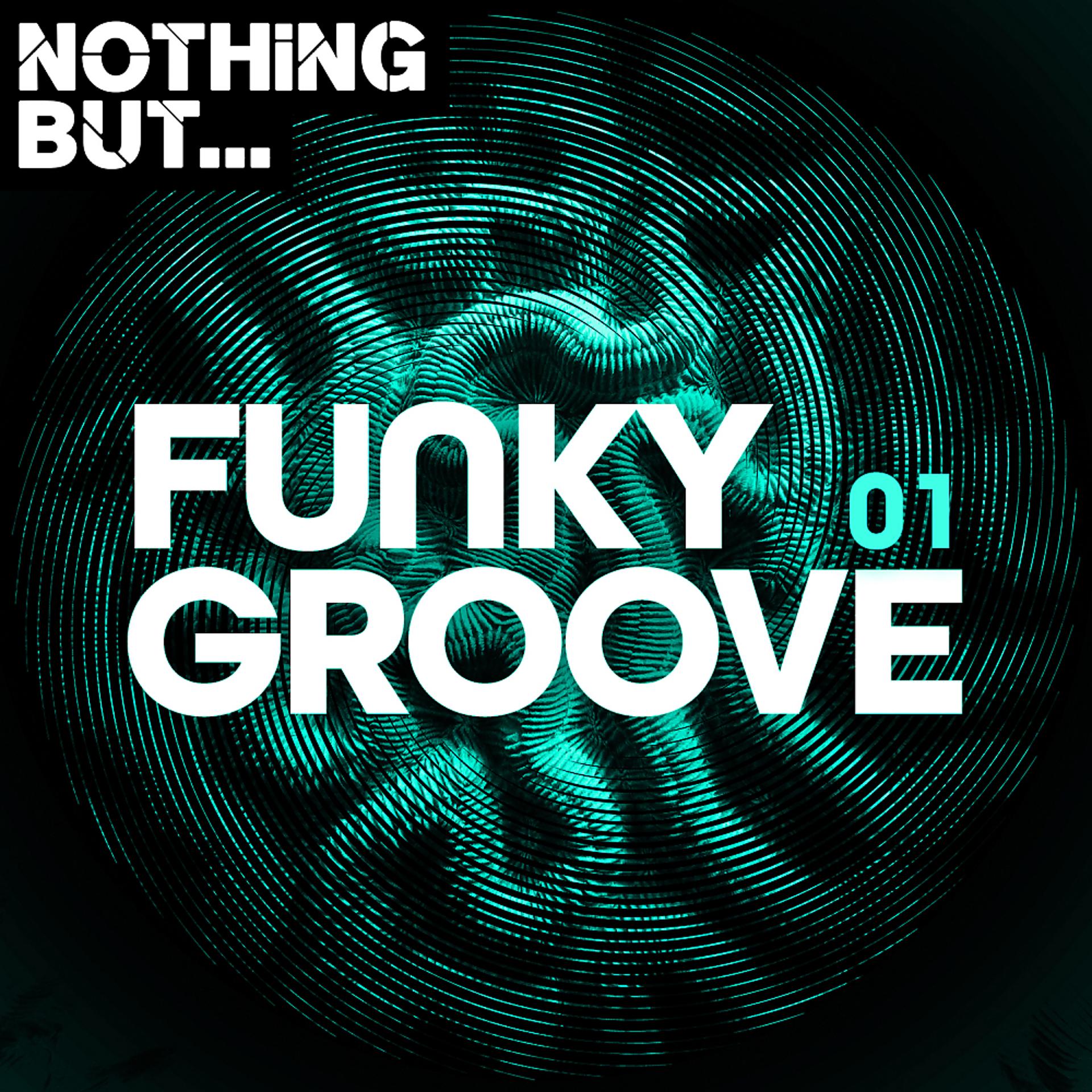 Постер альбома Nothing But... Funky Groove, Vol. 01