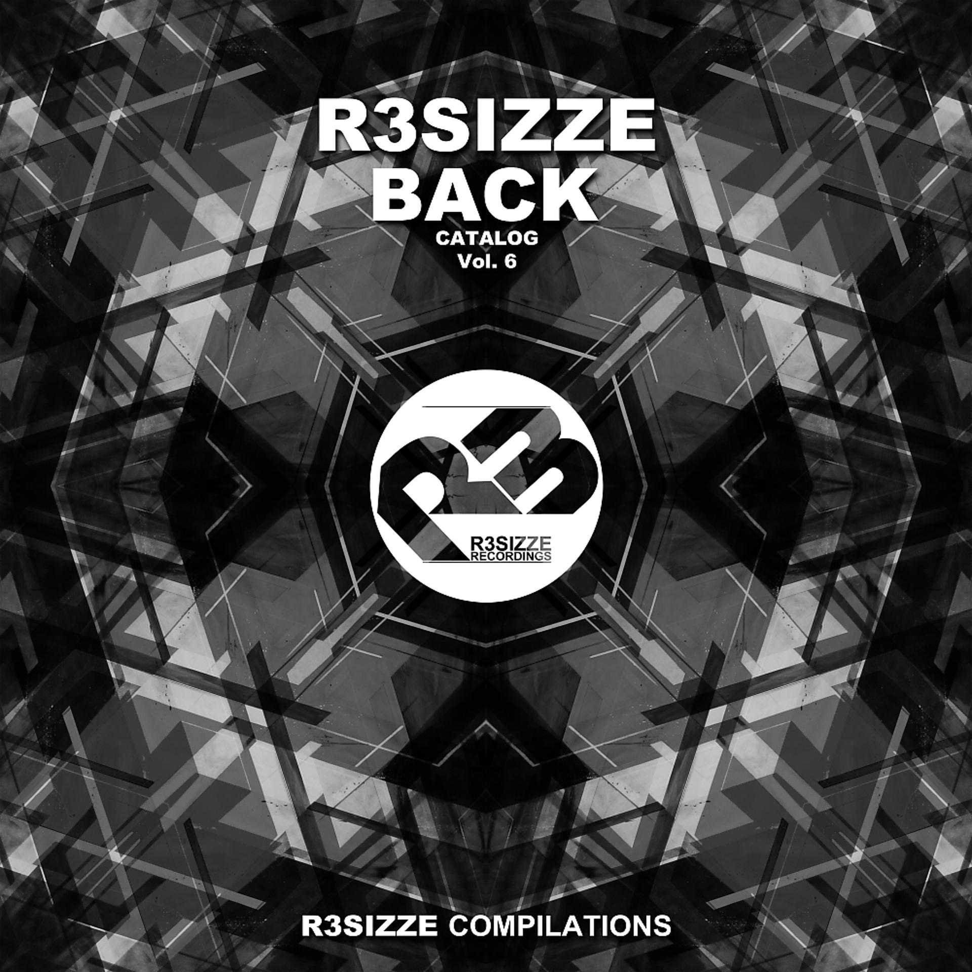 Постер альбома R3sizze Back Catalog, Vol. 6