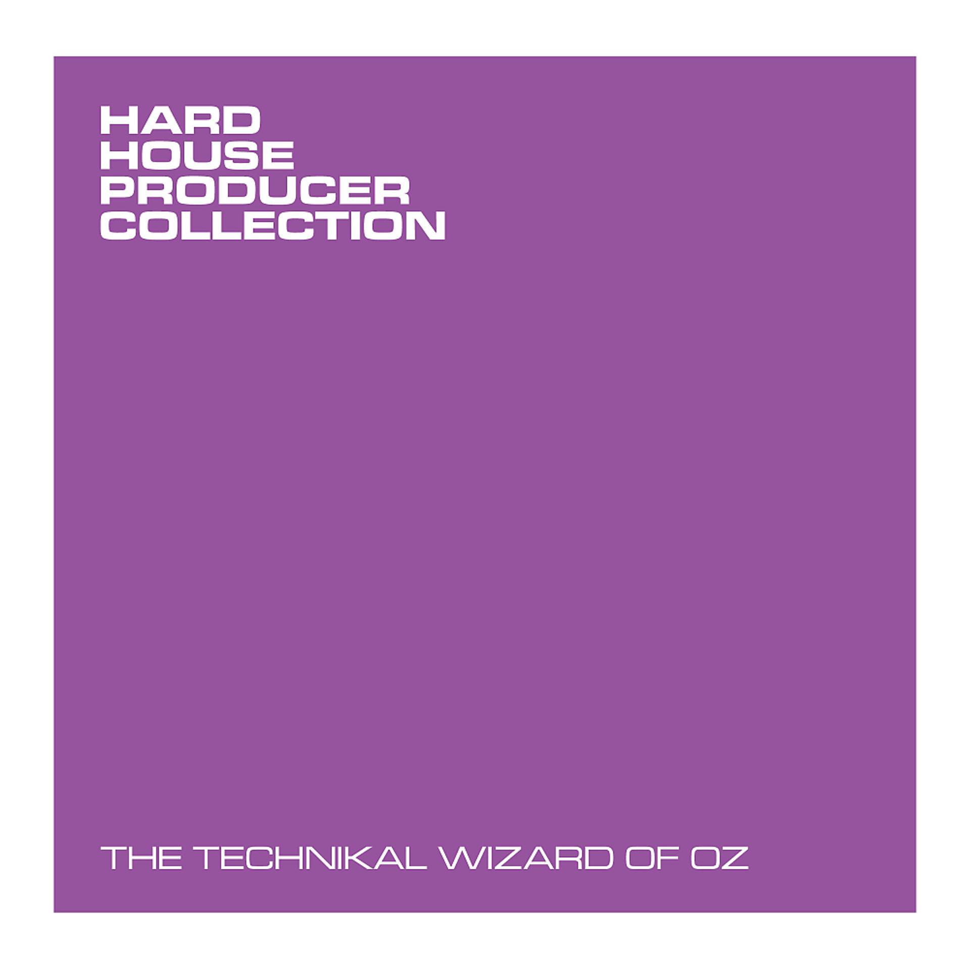 Постер альбома The Technikal Wizard Of Oz