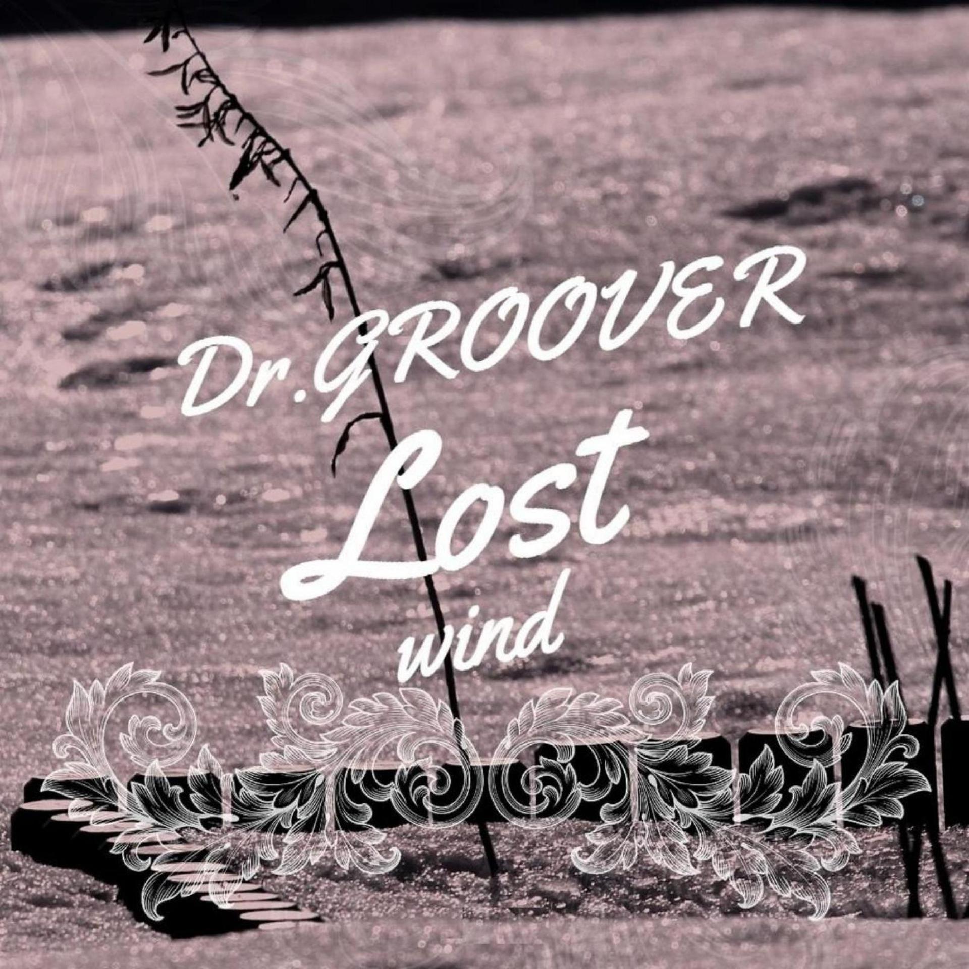 Постер альбома Lost Wind