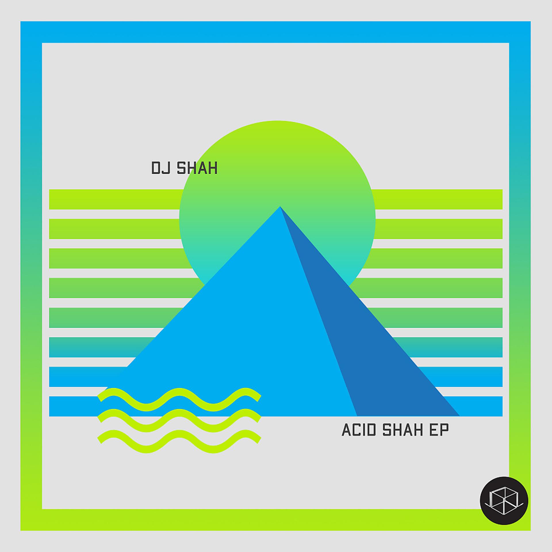 Постер альбома Acid Shah