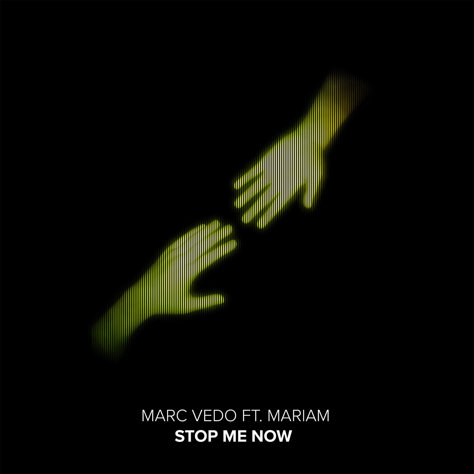 Постер альбома Stop Me Now (feat. MariaM)