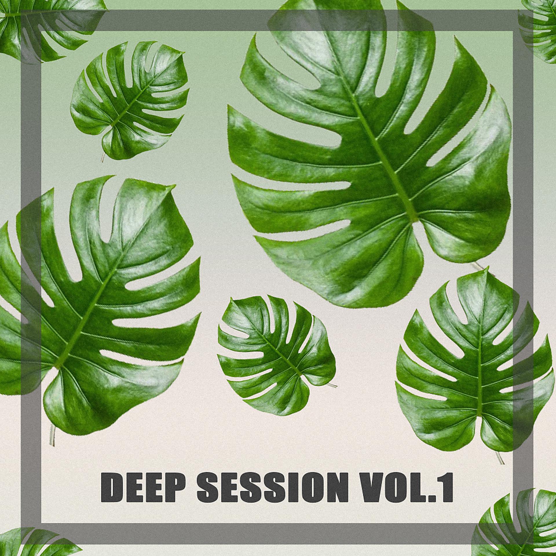 Постер альбома Deep Session, Vol. 1