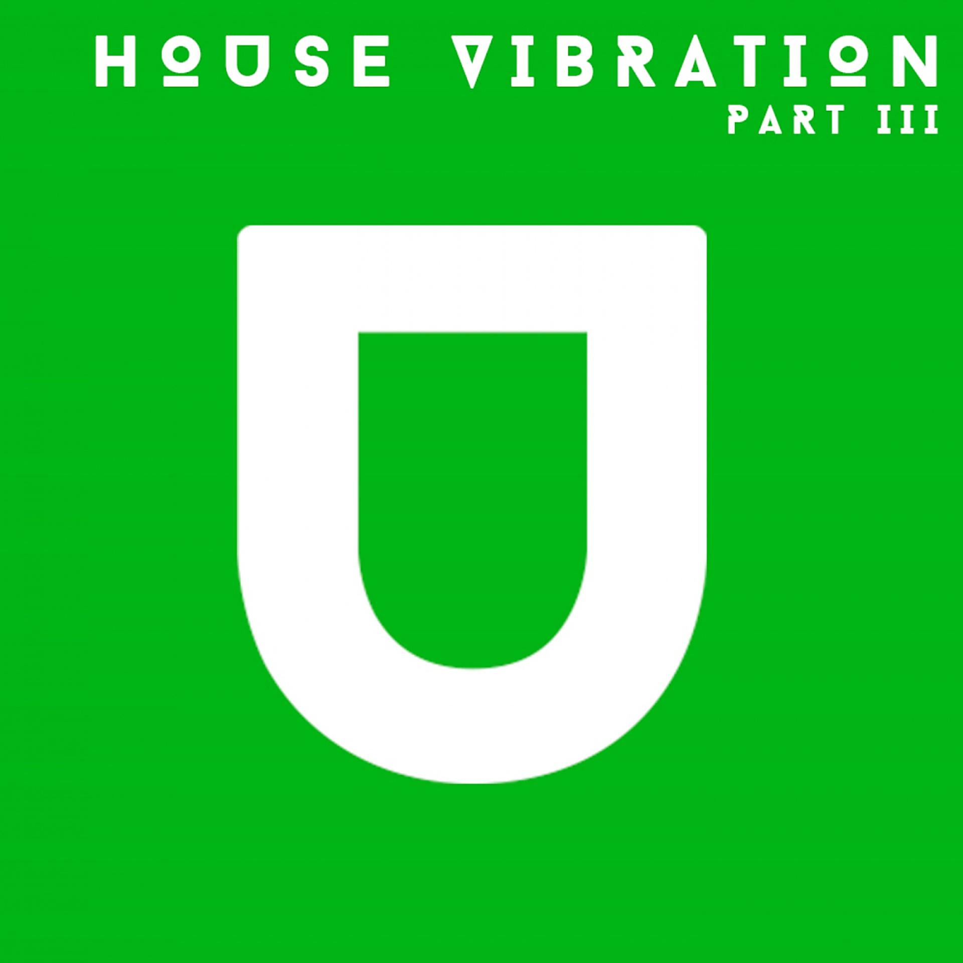 Постер альбома House Vibration, Pt. III