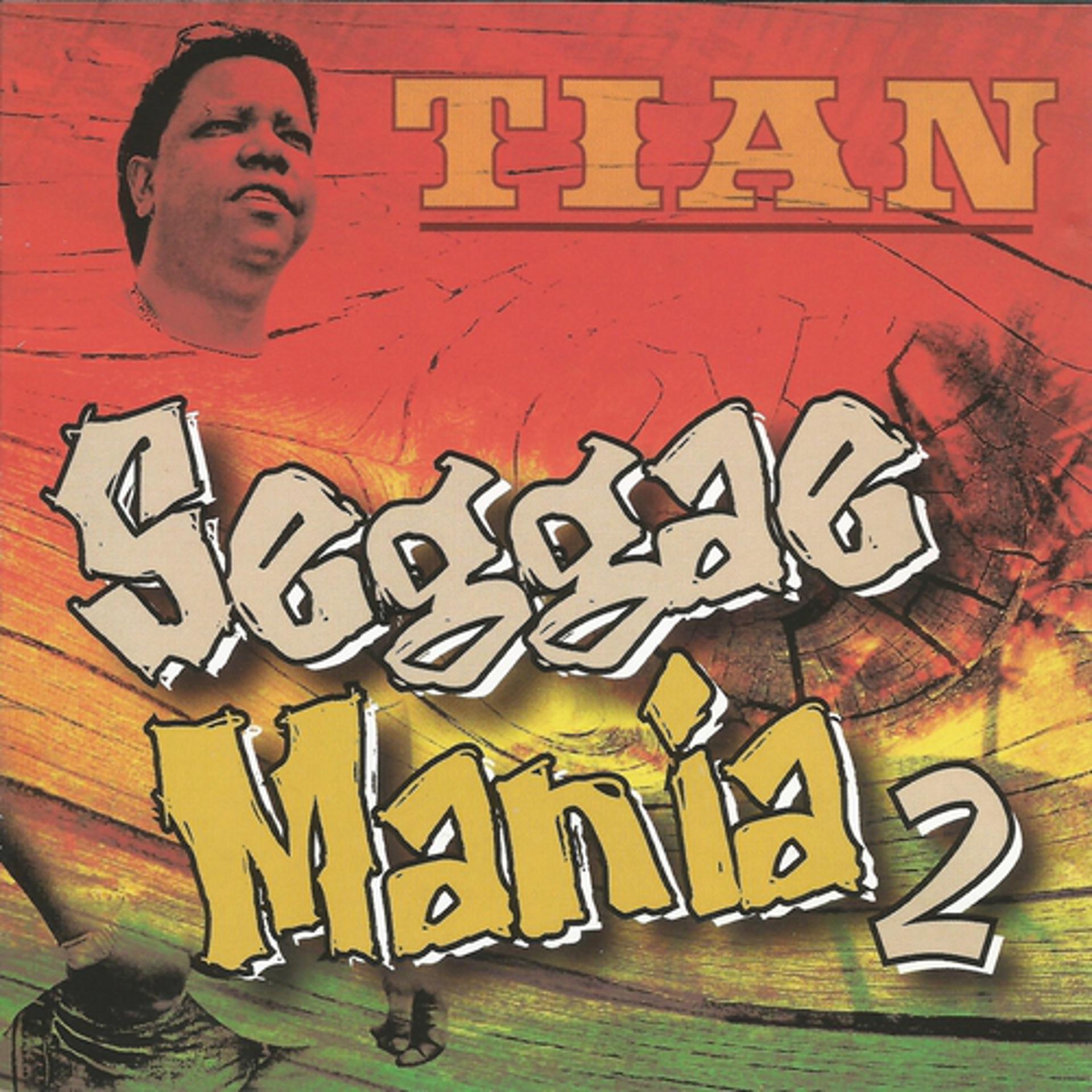 Постер альбома Seggae Mania 2