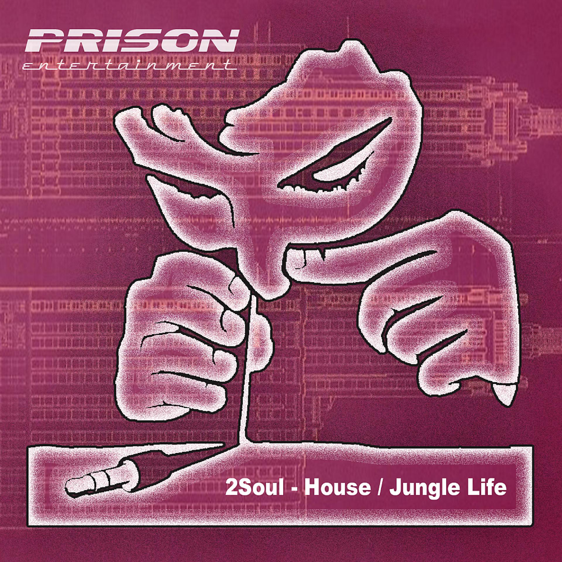 Постер альбома House / Jungle Life
