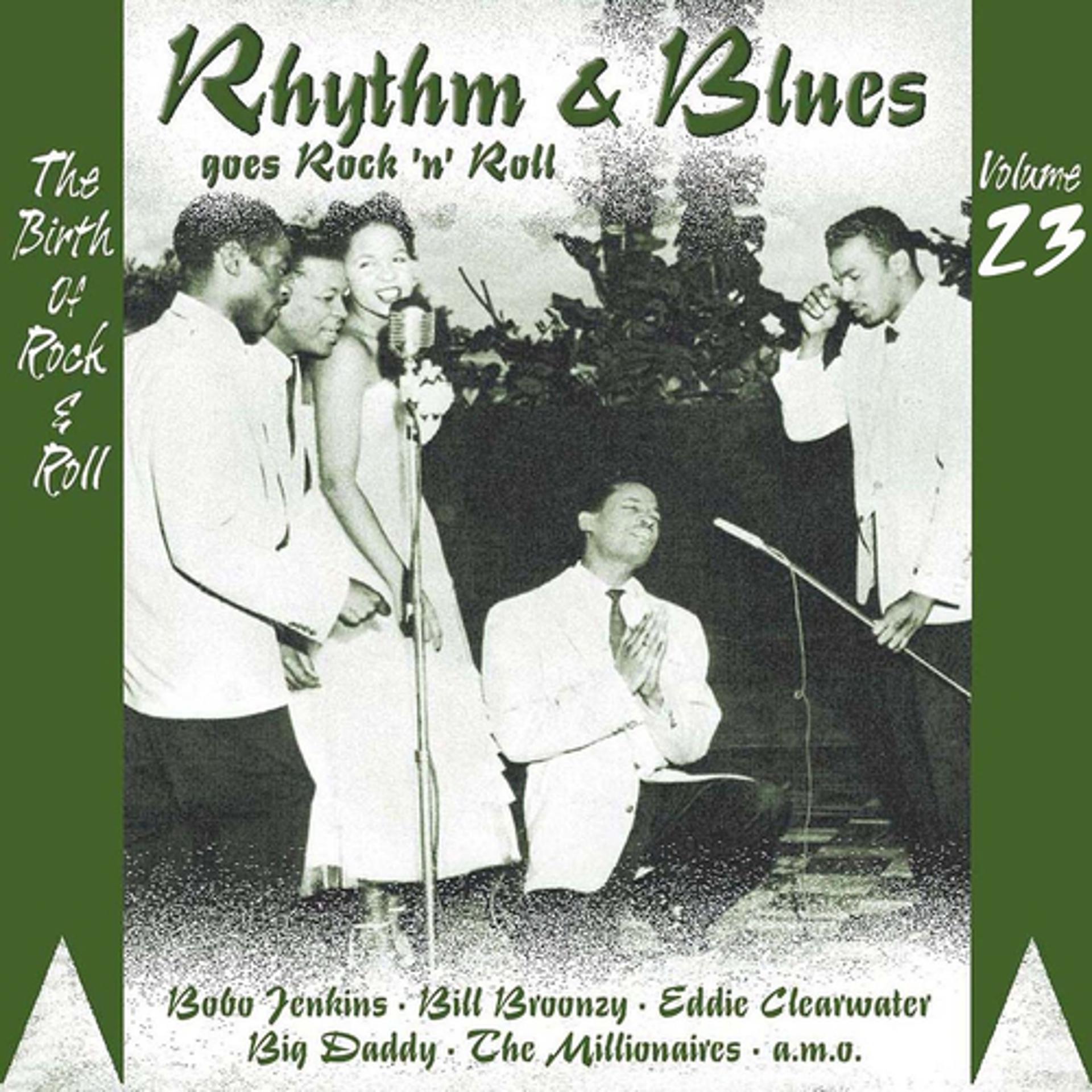 Постер альбома Rhythm & Blues Goes Rock & Roll, Vol. 23
