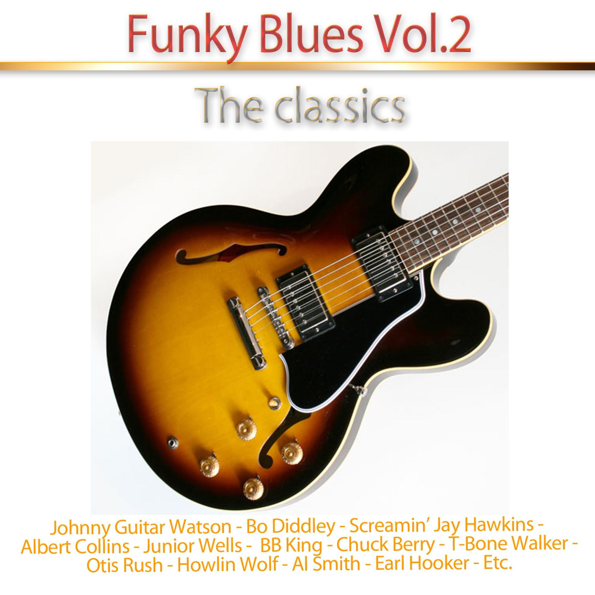 Постер альбома Funky Blues, Vol. 2 (The Classics)