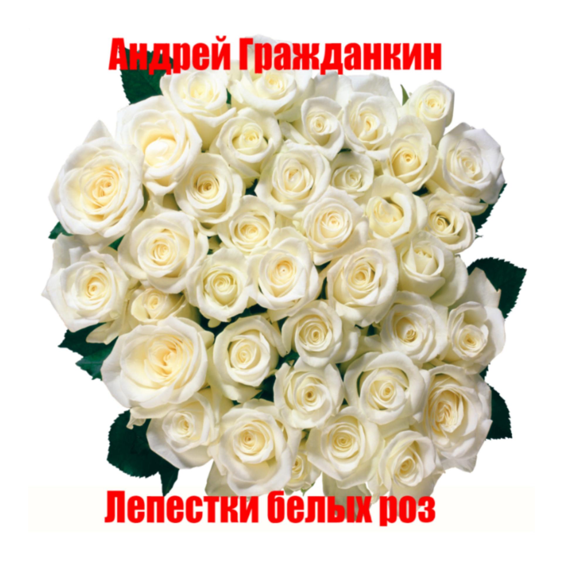 Постер к треку Андрей Гражданкин - Лепестки белых роз