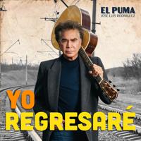 Постер альбома Yo Regresaré
