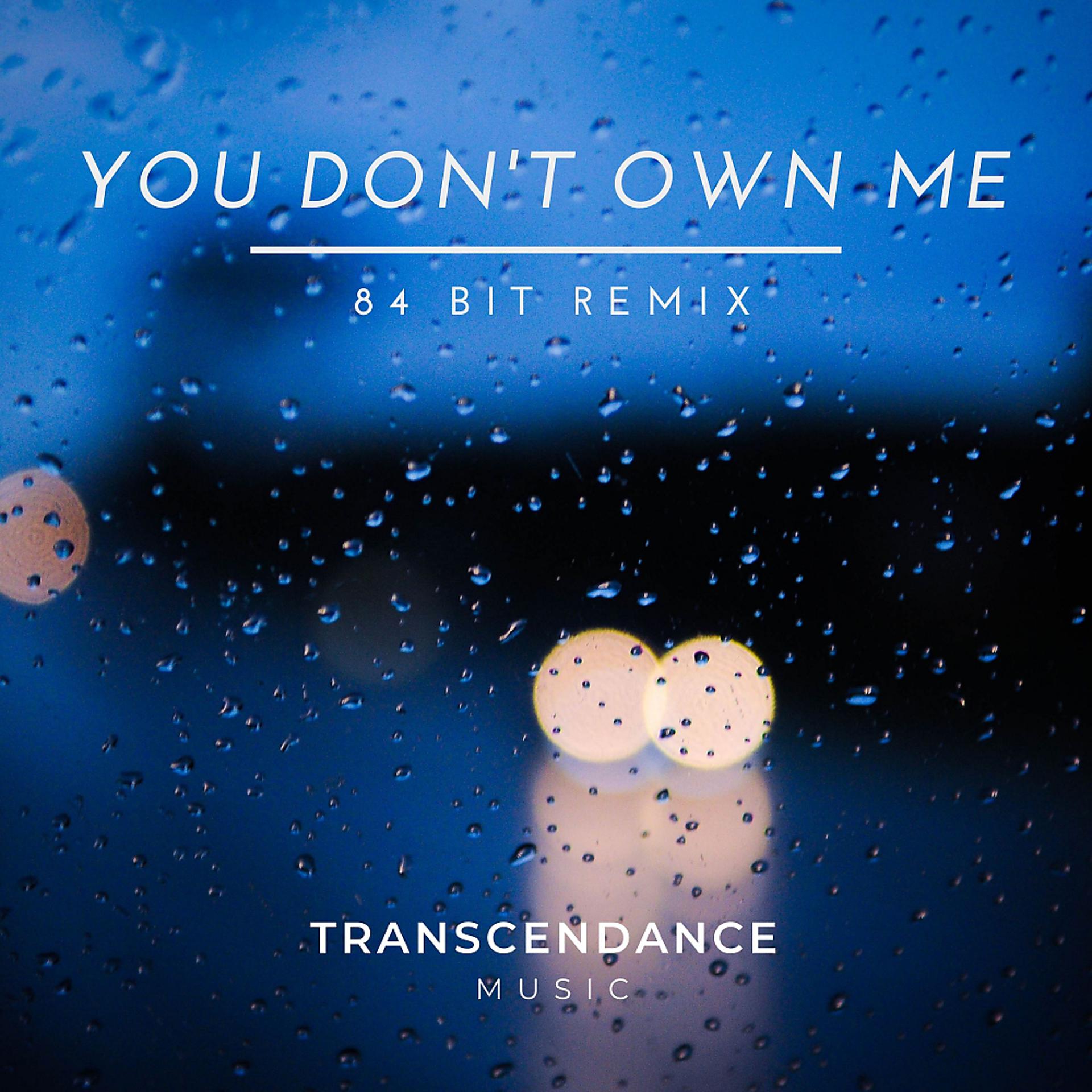 Постер альбома You Don't Own Me (84Bit Remix)