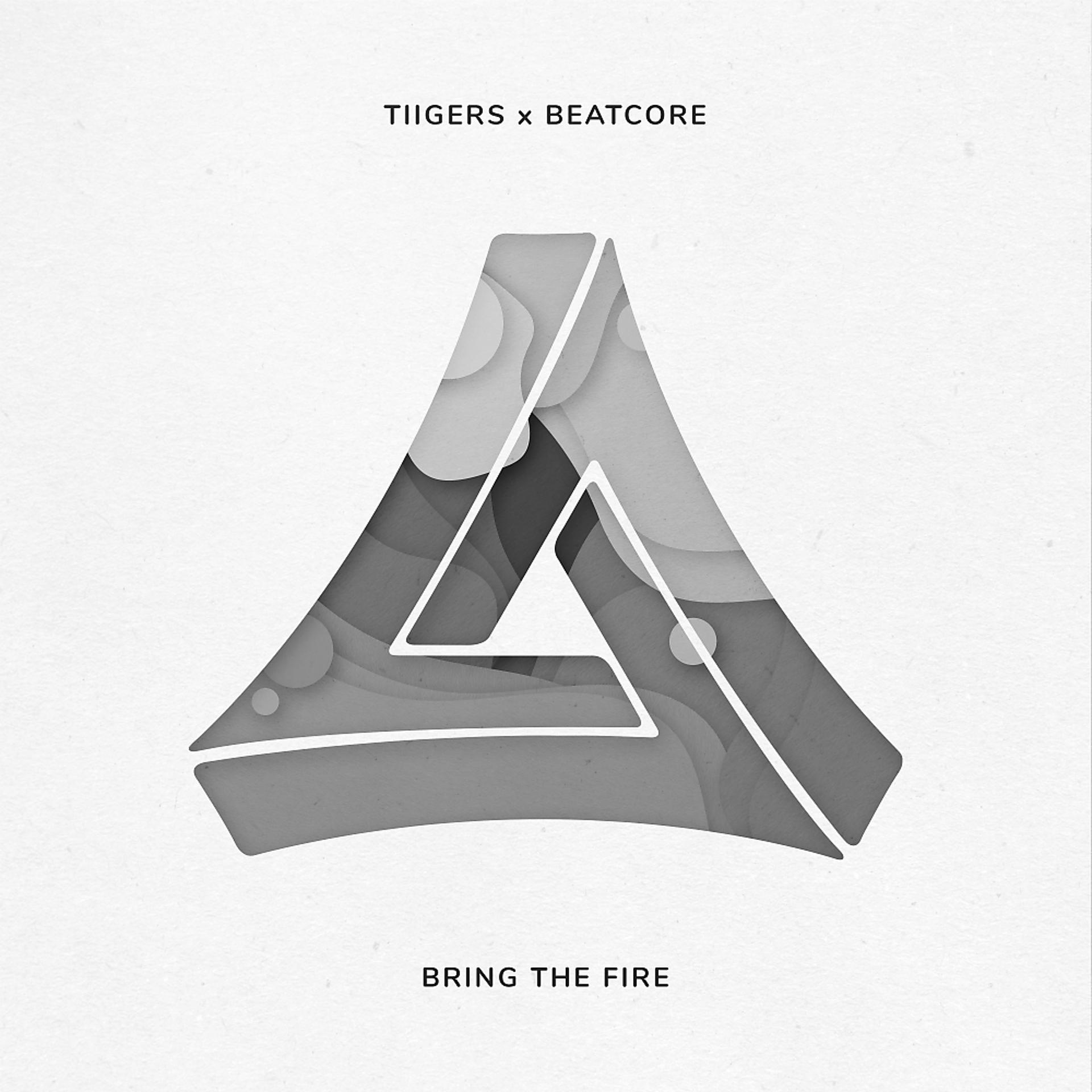 Постер альбома Bring The Fire