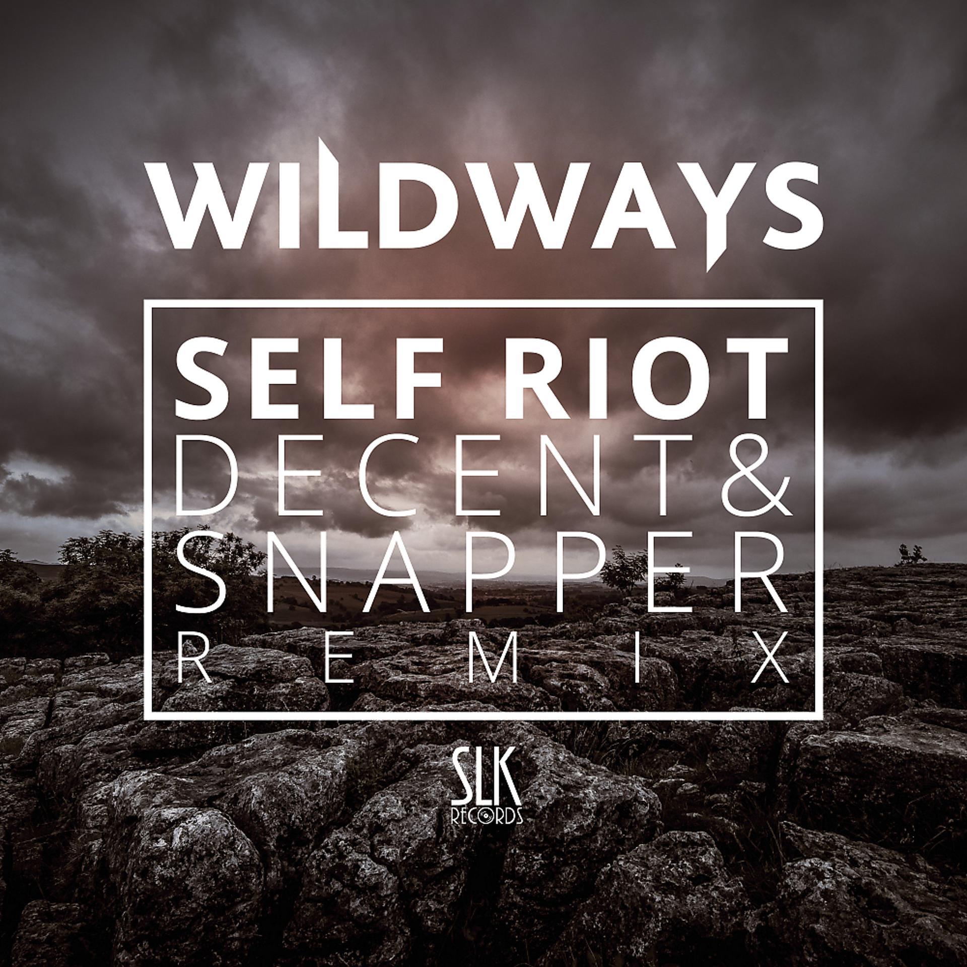 Постер альбома Self Riot (Decent & Snapper Remix)