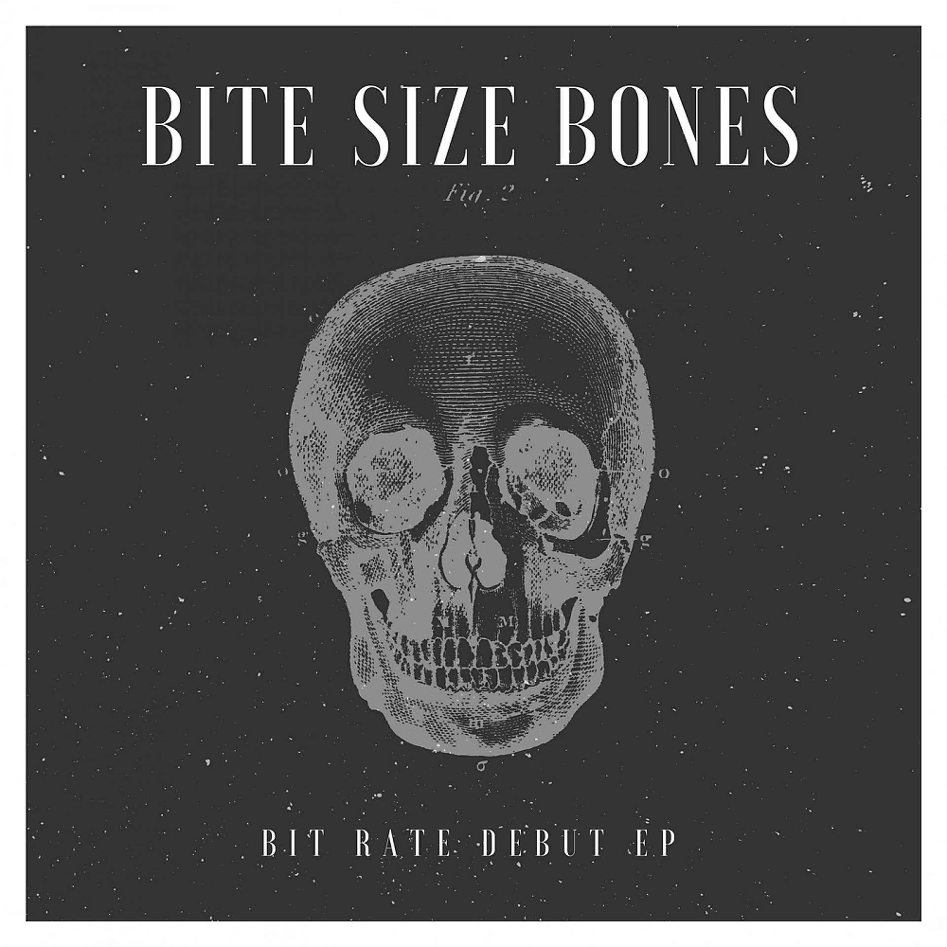 Постер альбома Bite Size Bones Bit Rate Debut EP
