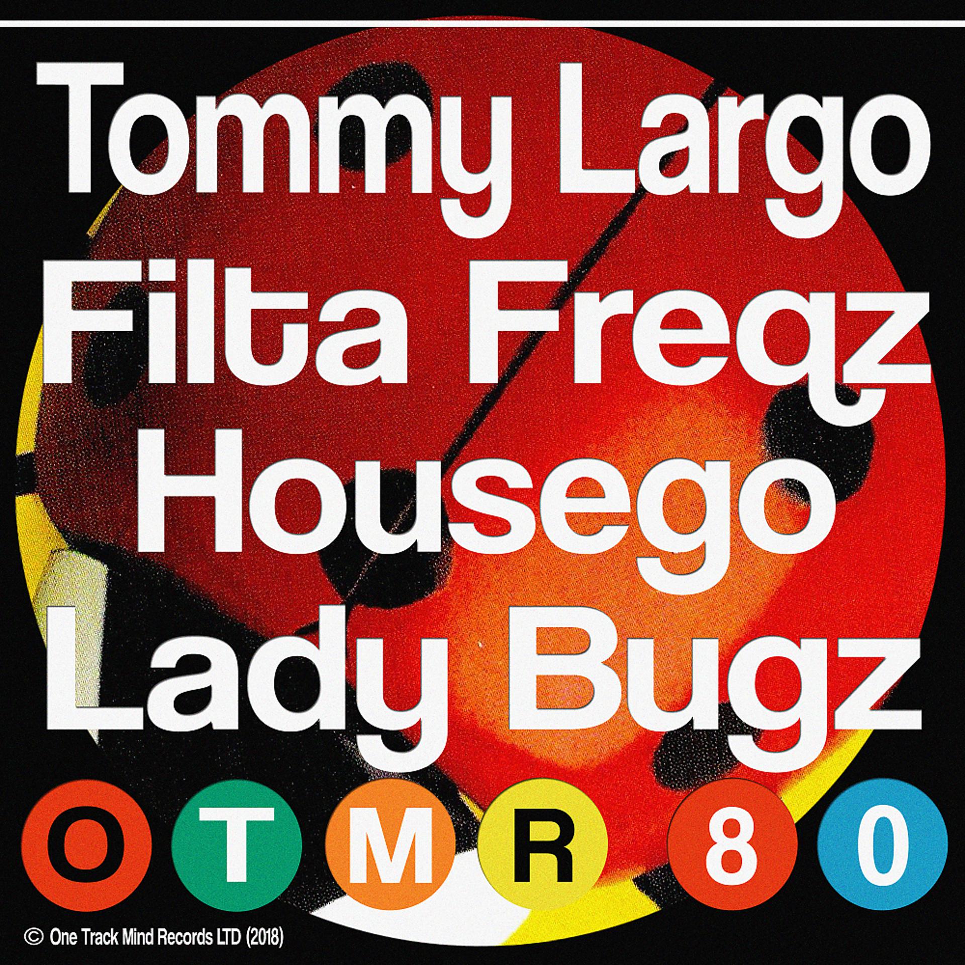Постер альбома Lady Bugz