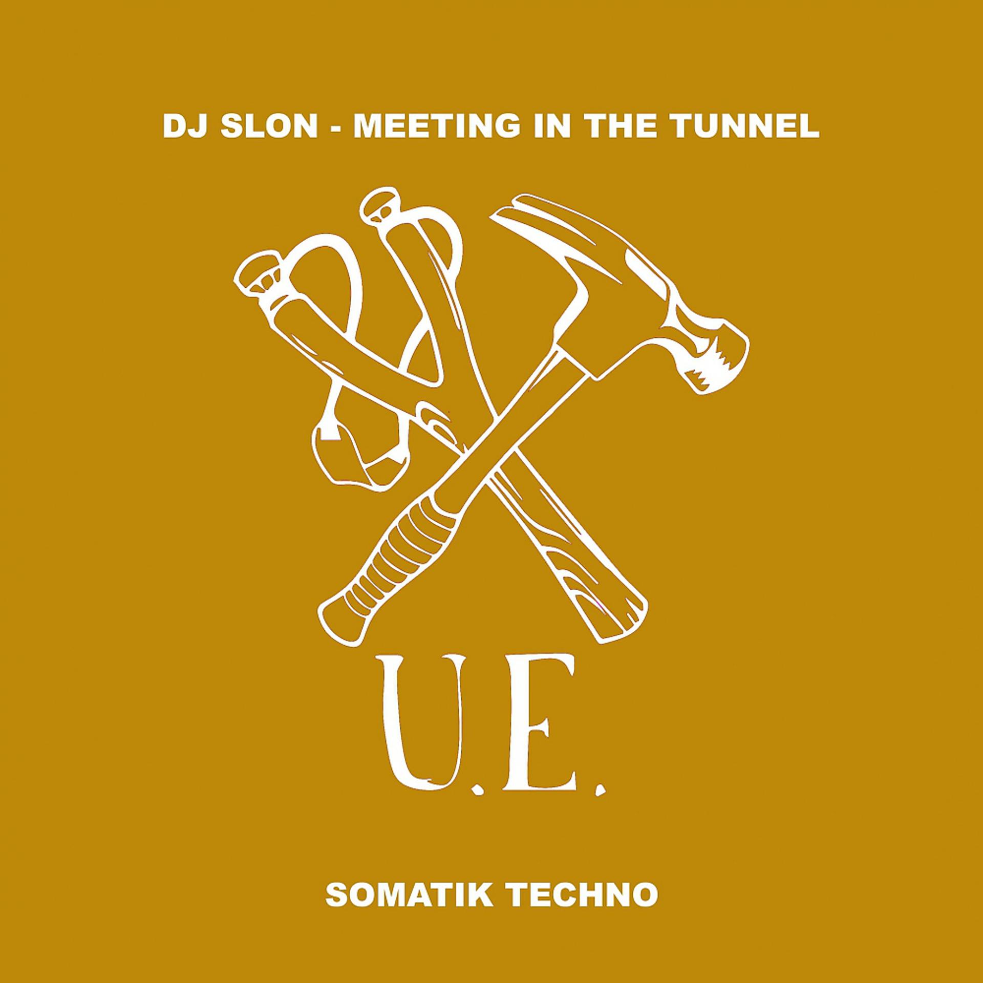 Постер альбома Meeting in the Tunnel