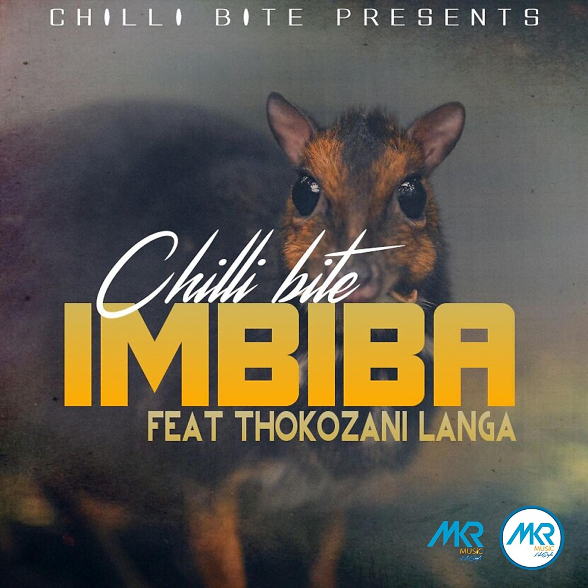 Постер альбома Imbiba