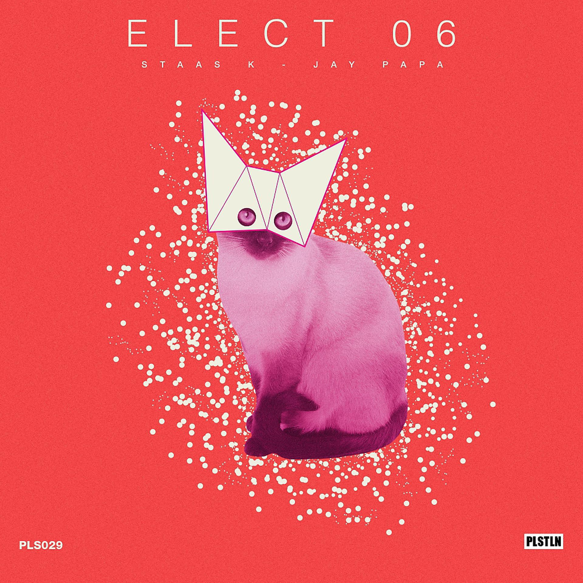 Постер альбома Elect 06