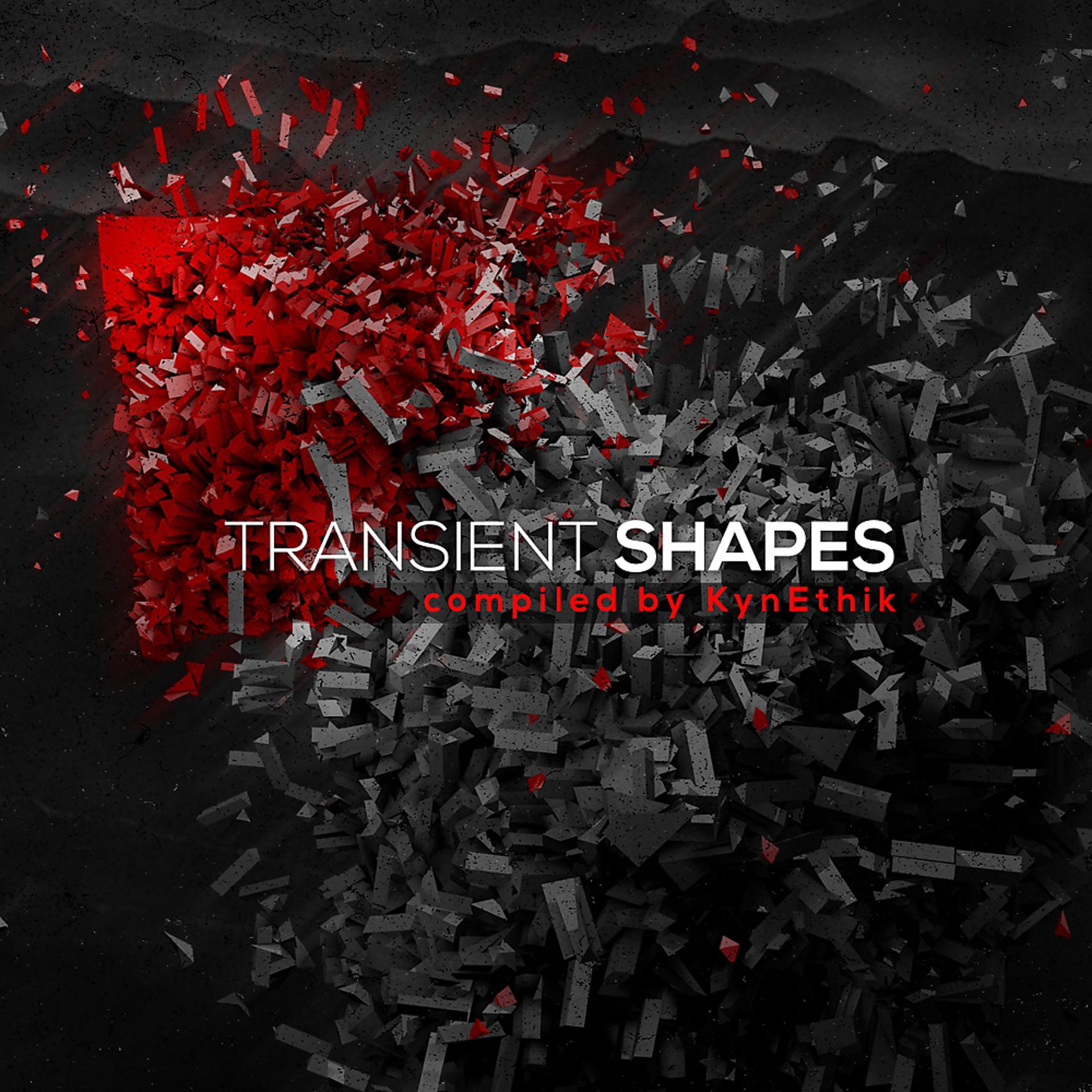 Постер альбома Transient Shapes