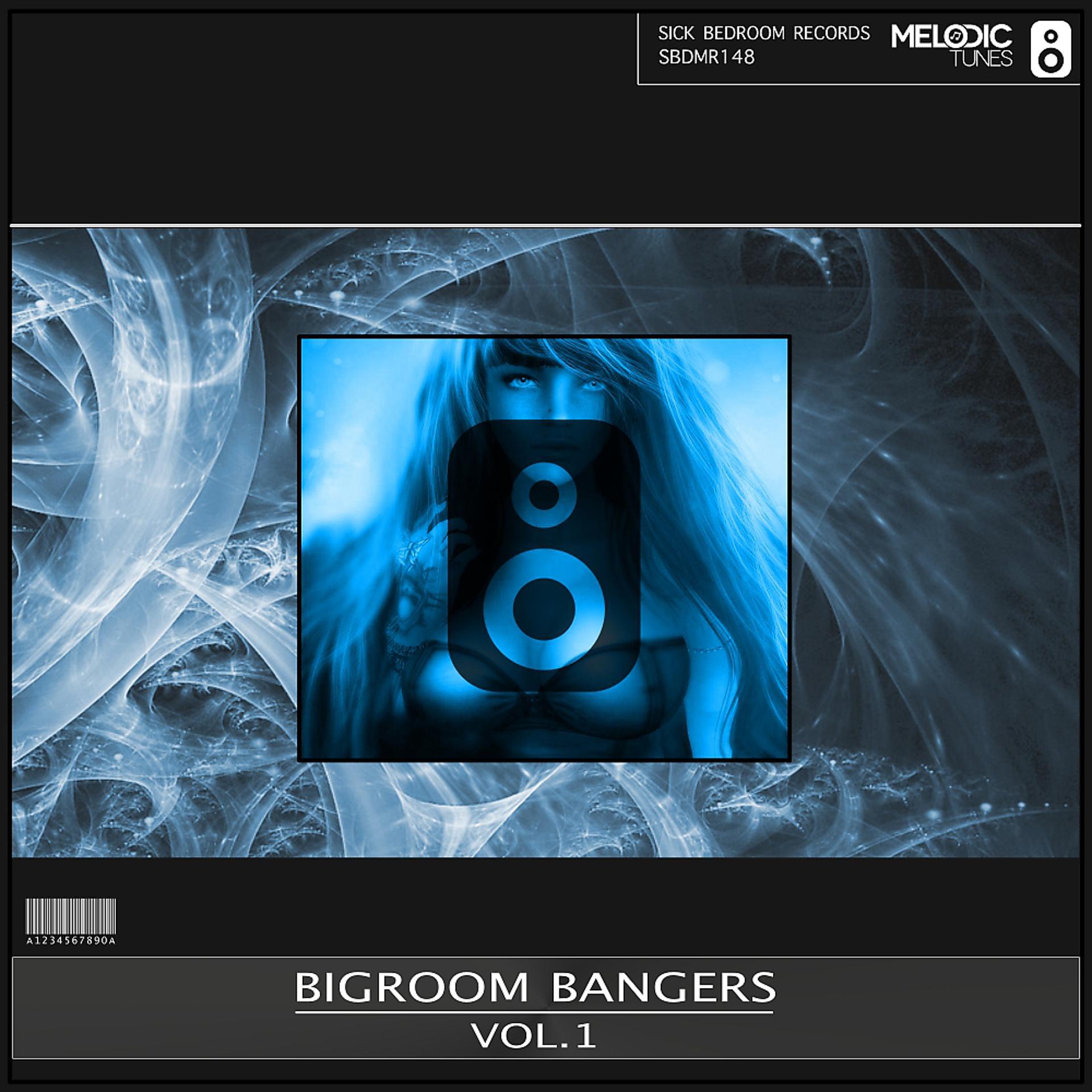 Постер альбома Bigroom Bangers, Vol. 1