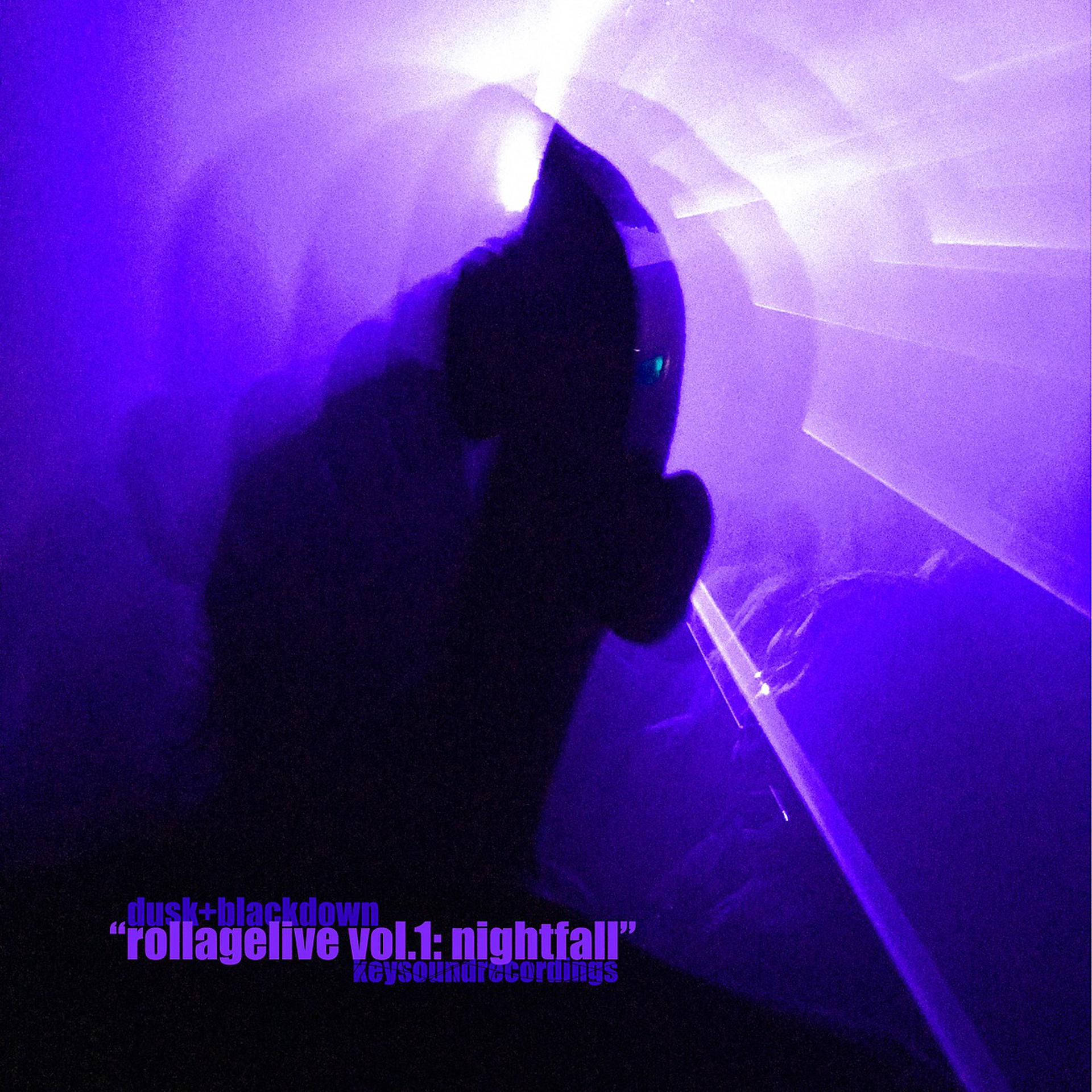 Постер альбома RollageLive Vol. 1: Nightfall