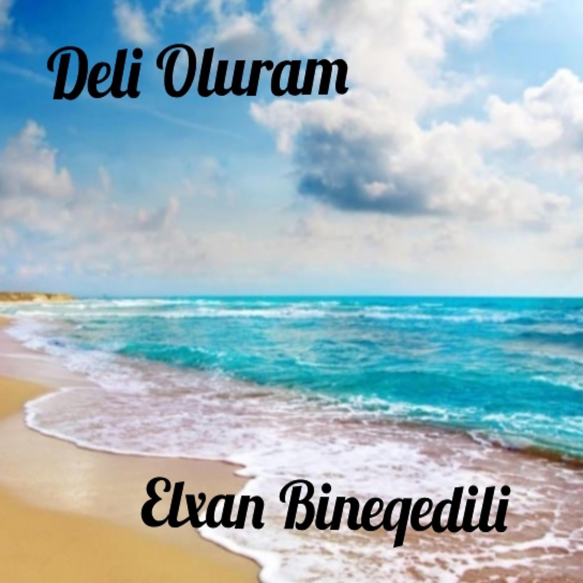 Постер альбома Deli Oluram