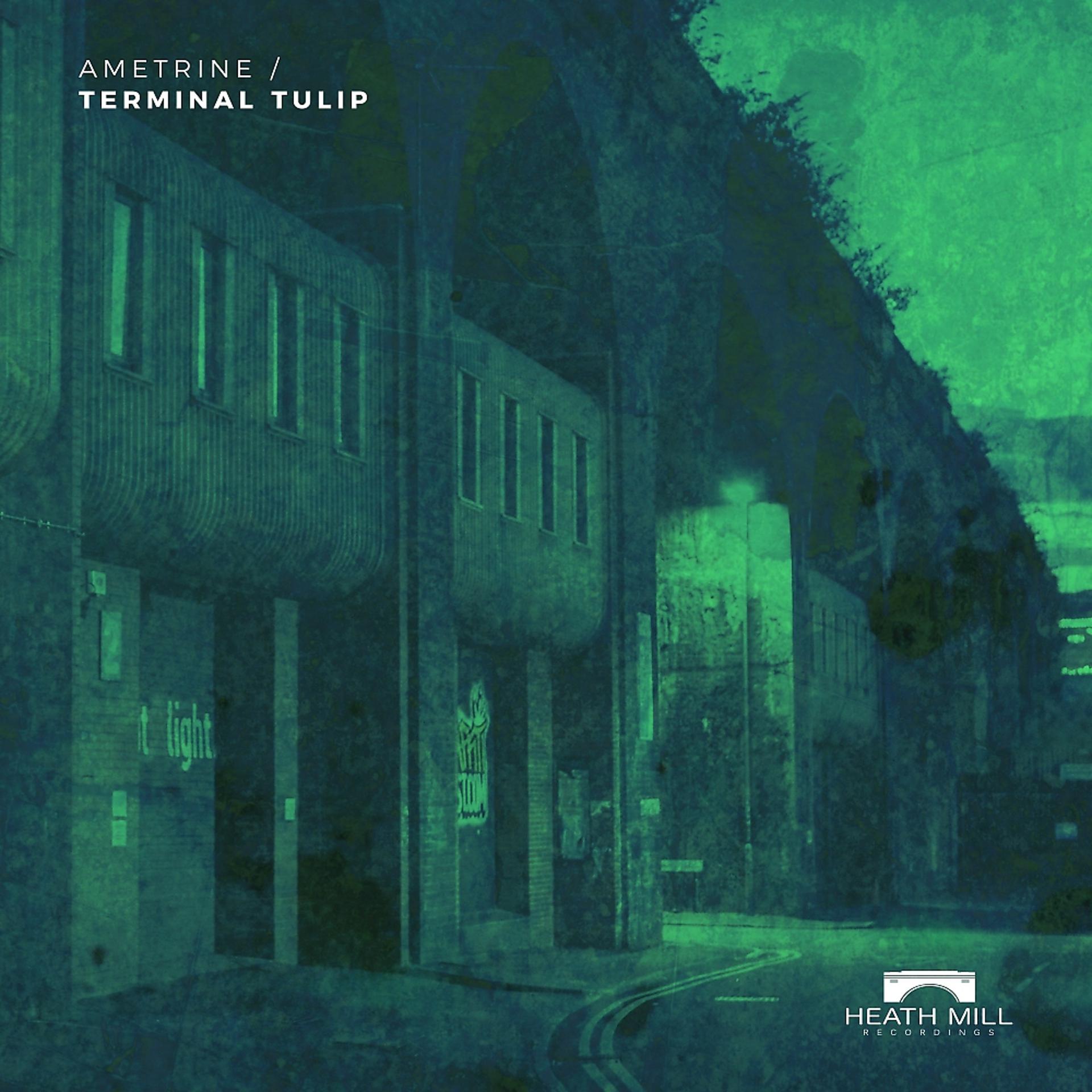 Постер альбома Terminal Tulip