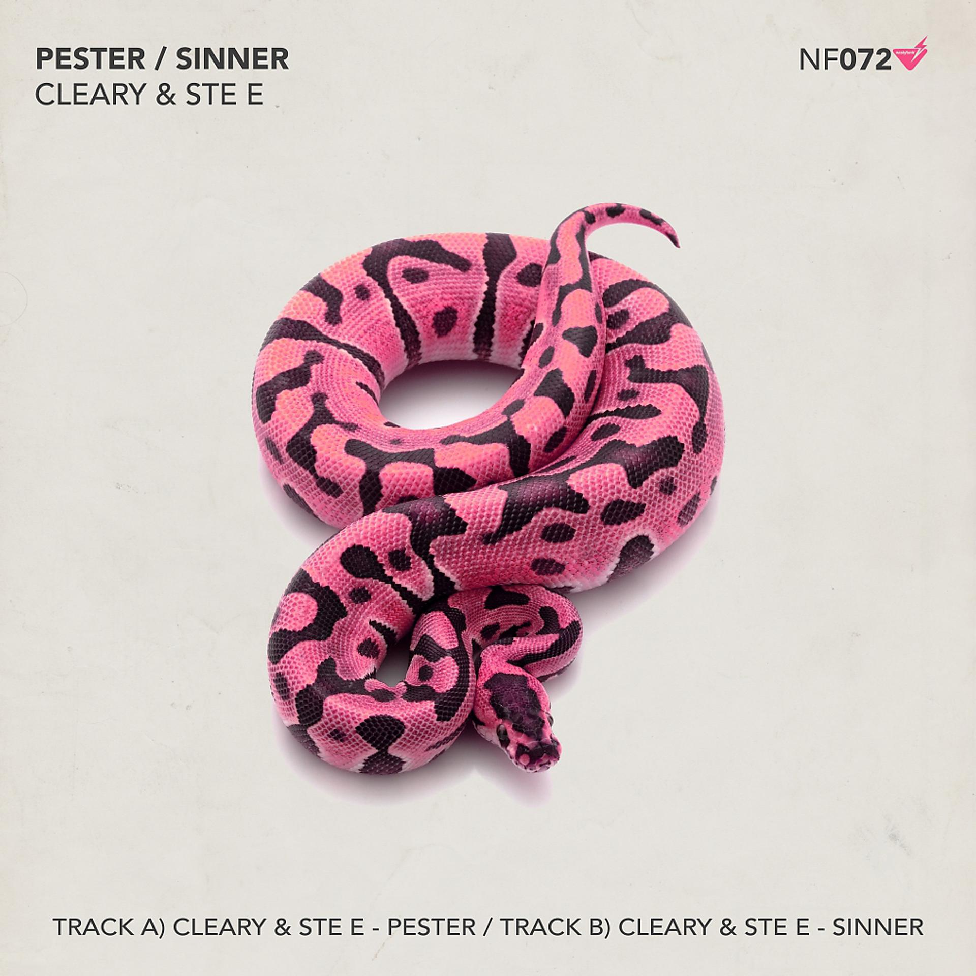 Постер альбома Pester / Sinner