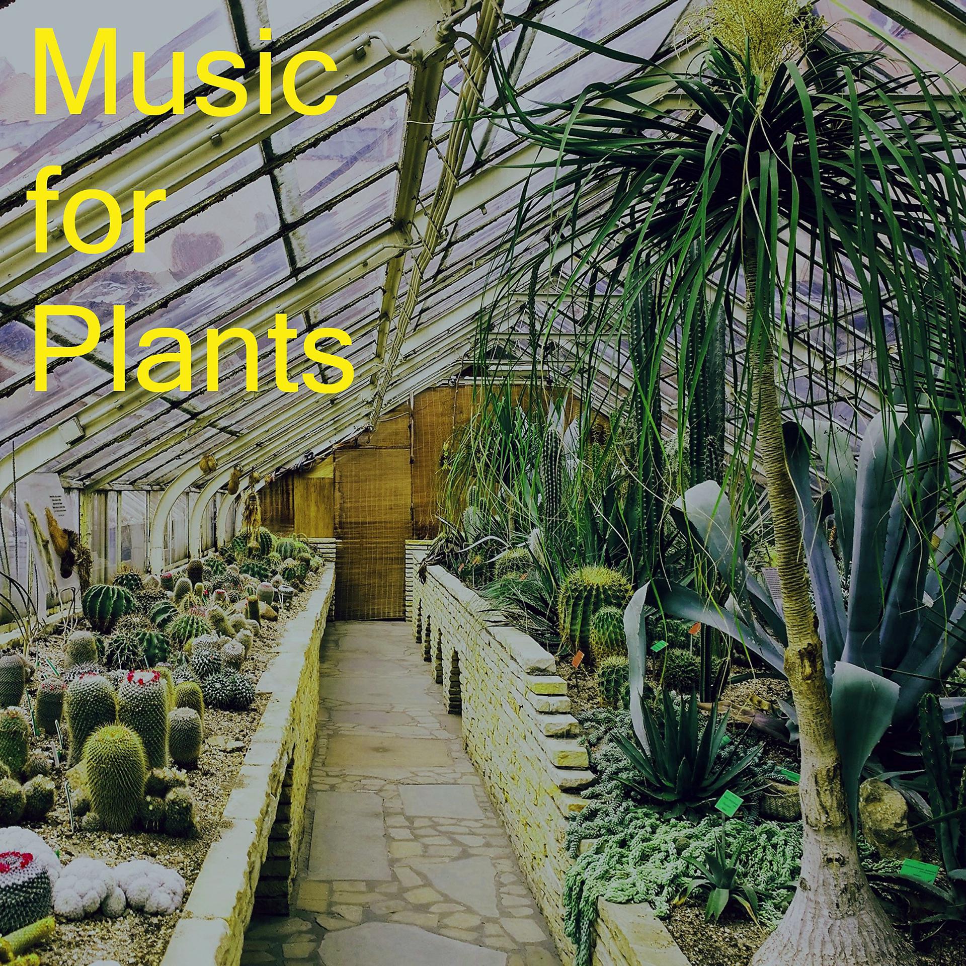 Постер альбома Music for Plants