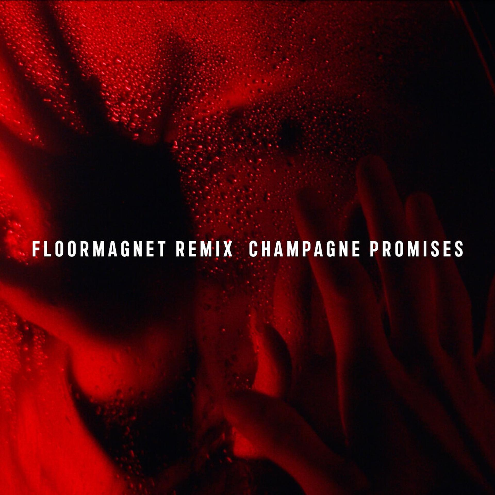 Постер альбома Champagne Promises