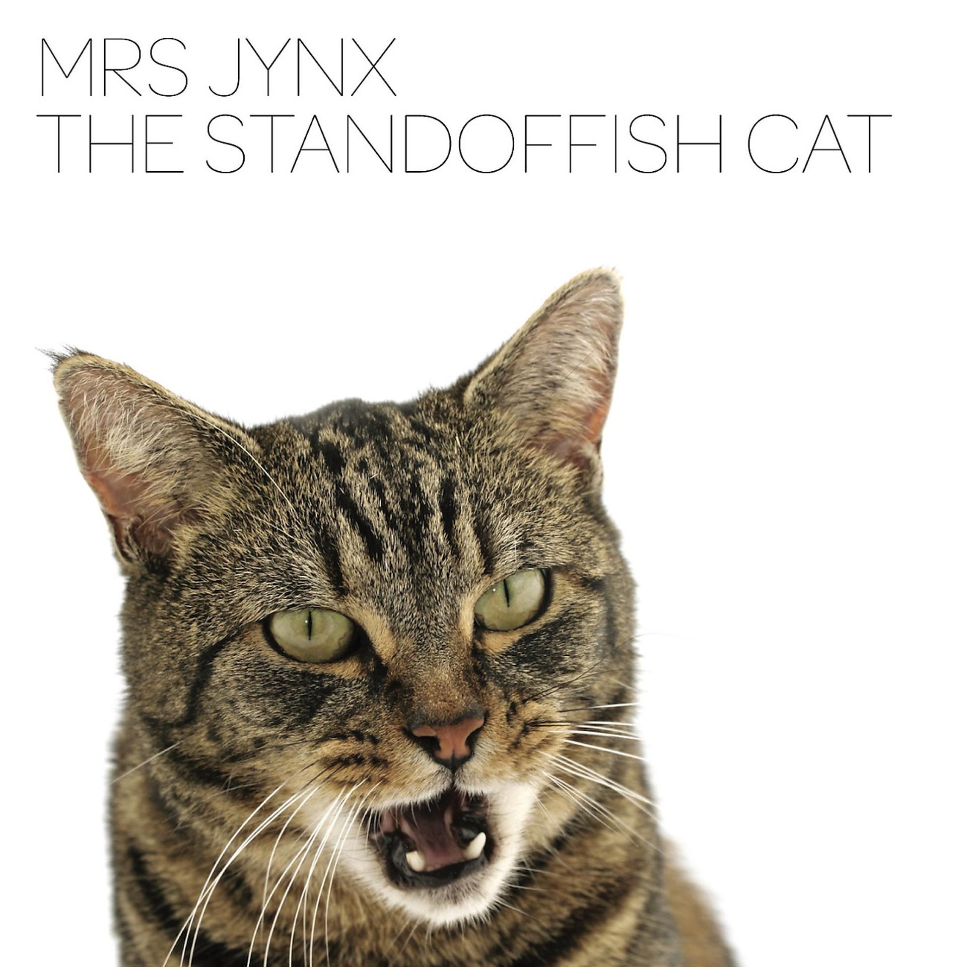 Постер альбома The Standoffish Cat