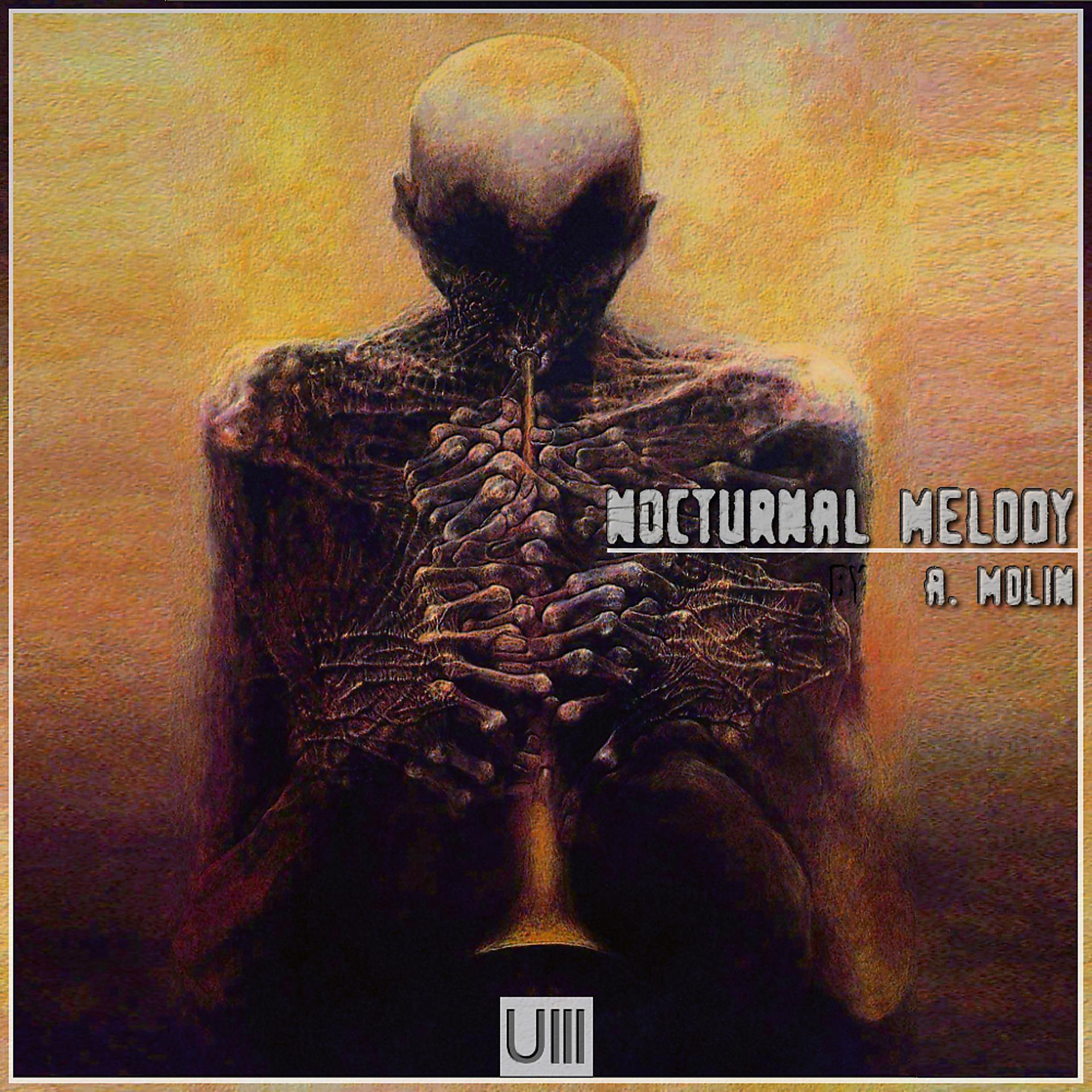 Постер альбома Nocturnal Melody