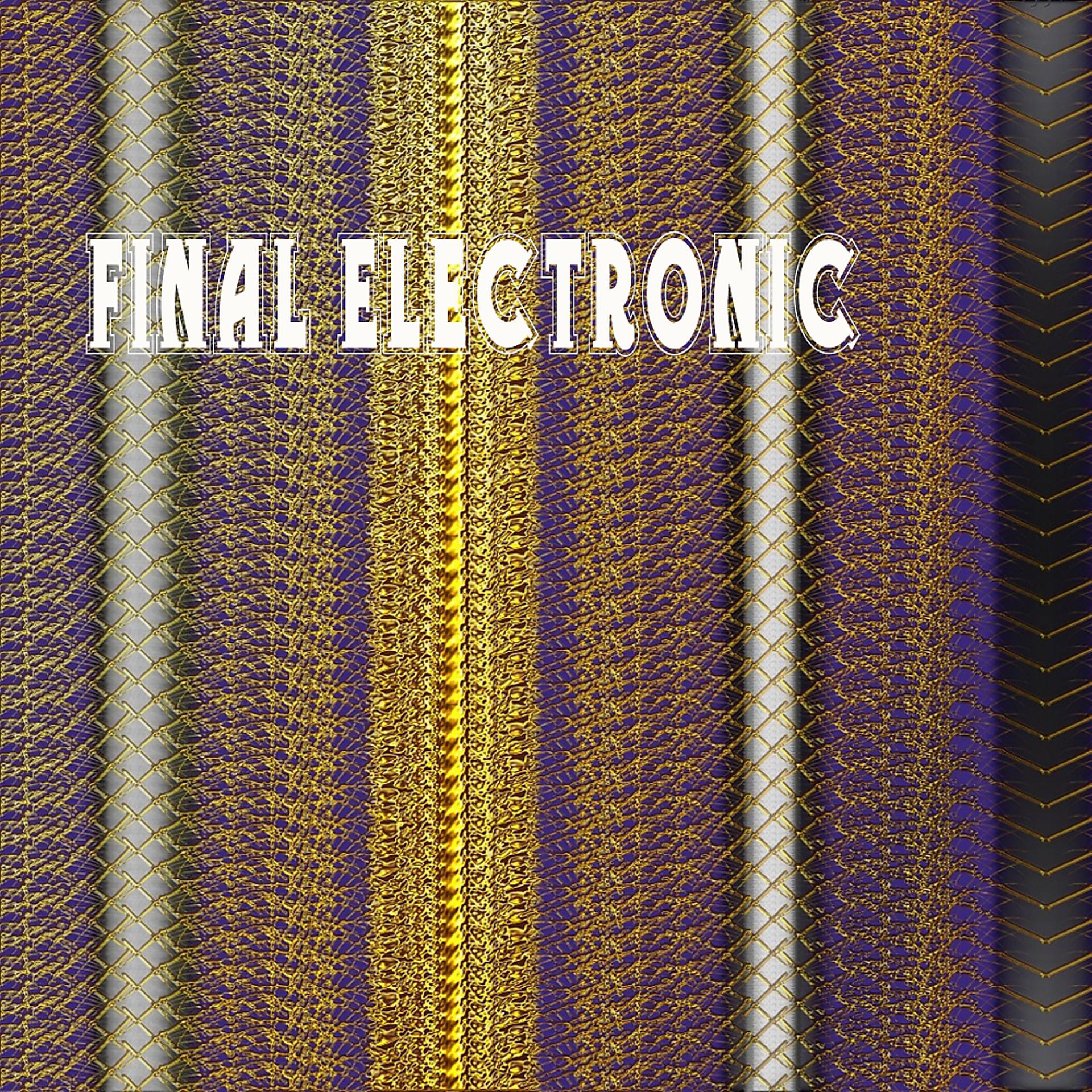 Постер альбома Final Electronic