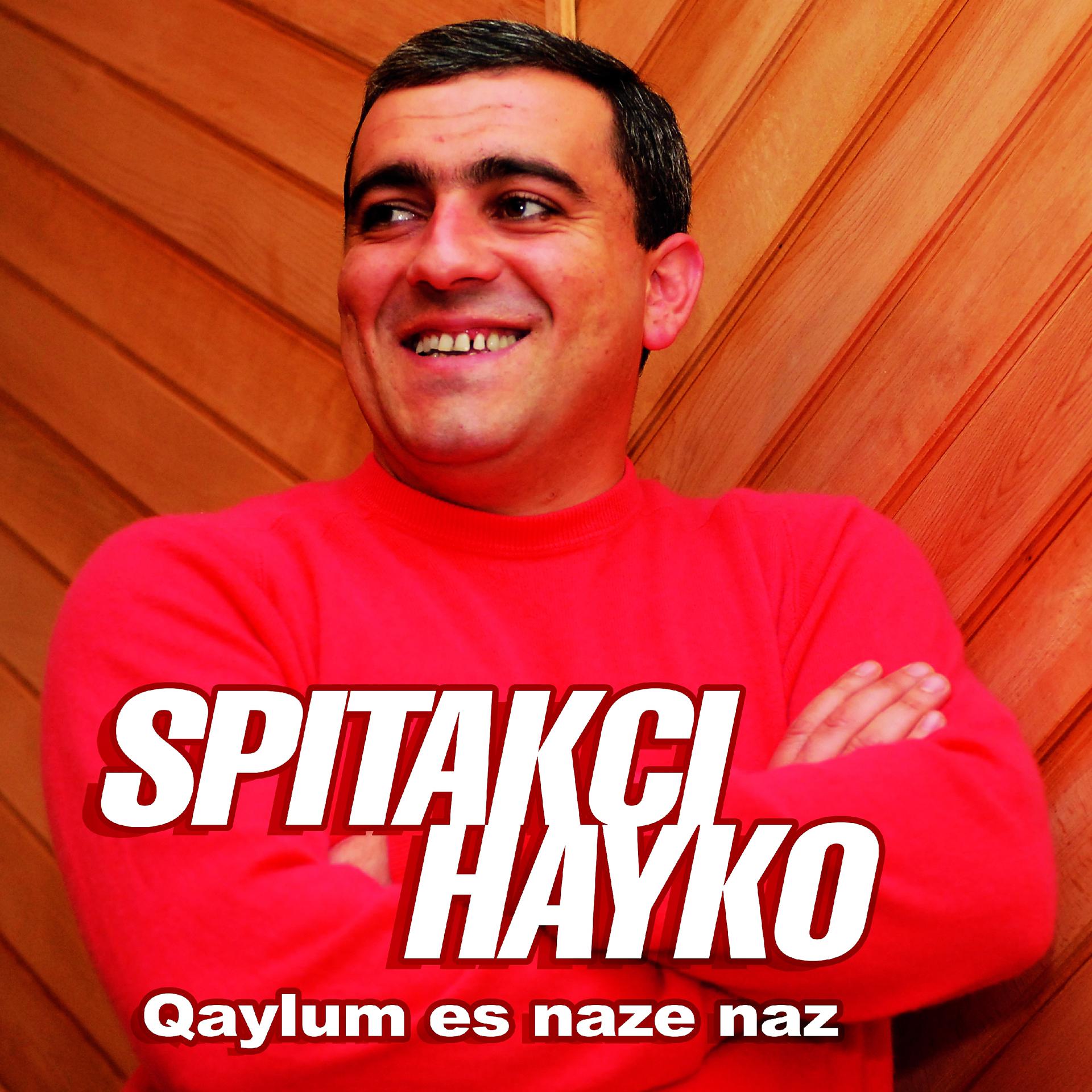 Постер альбома Qaylum es naze naz