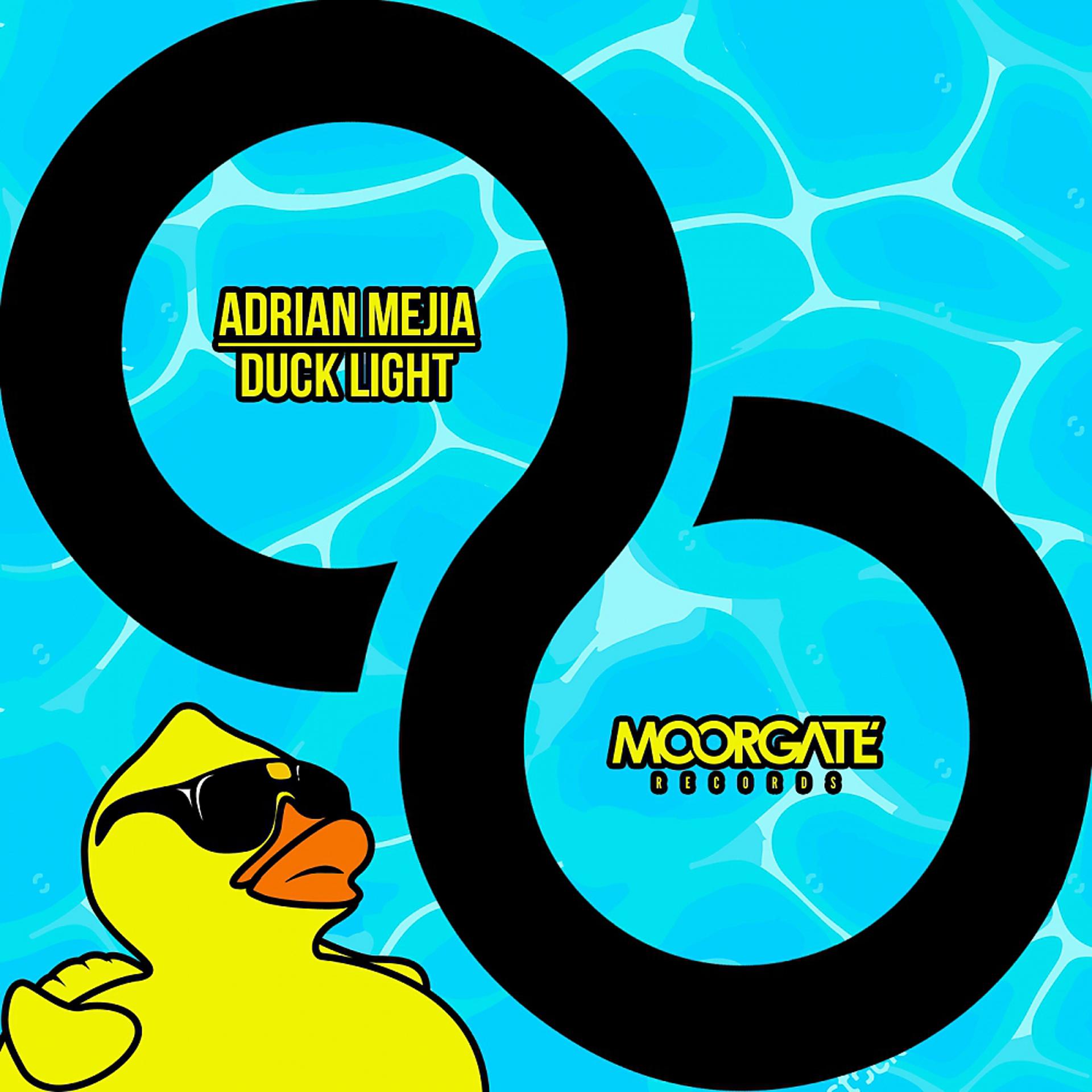 Постер альбома Duck Light