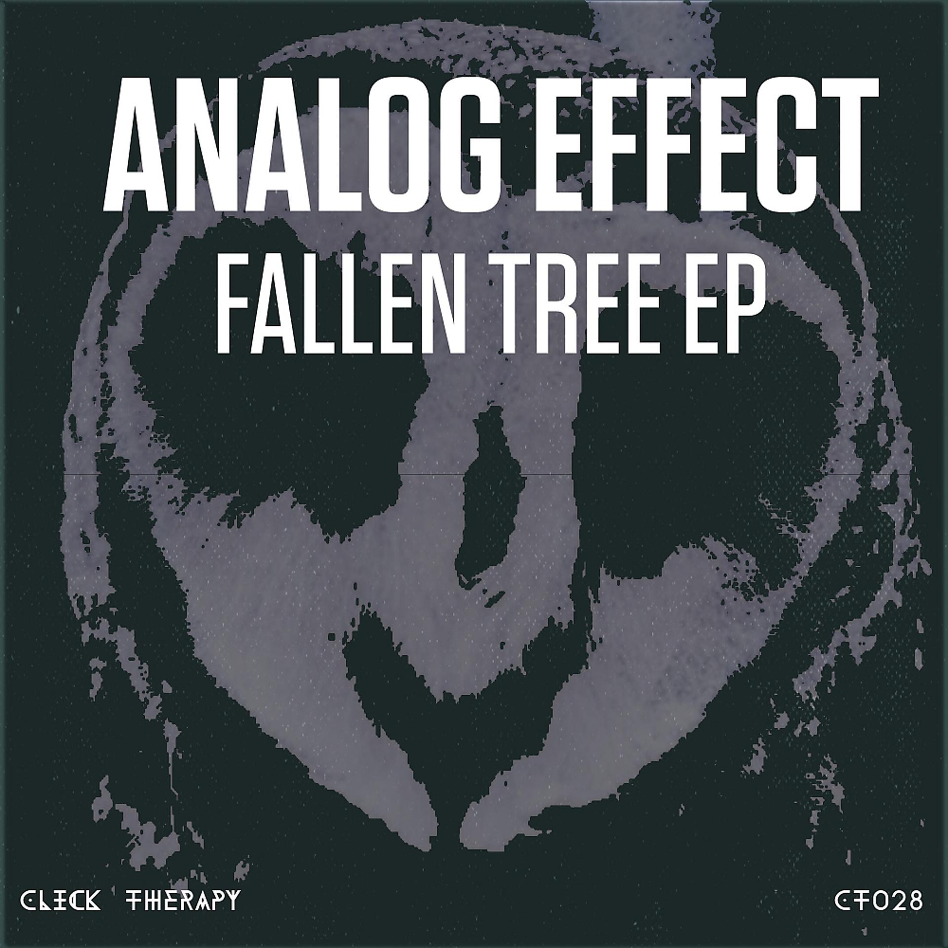 Постер альбома Fallen Tree EP