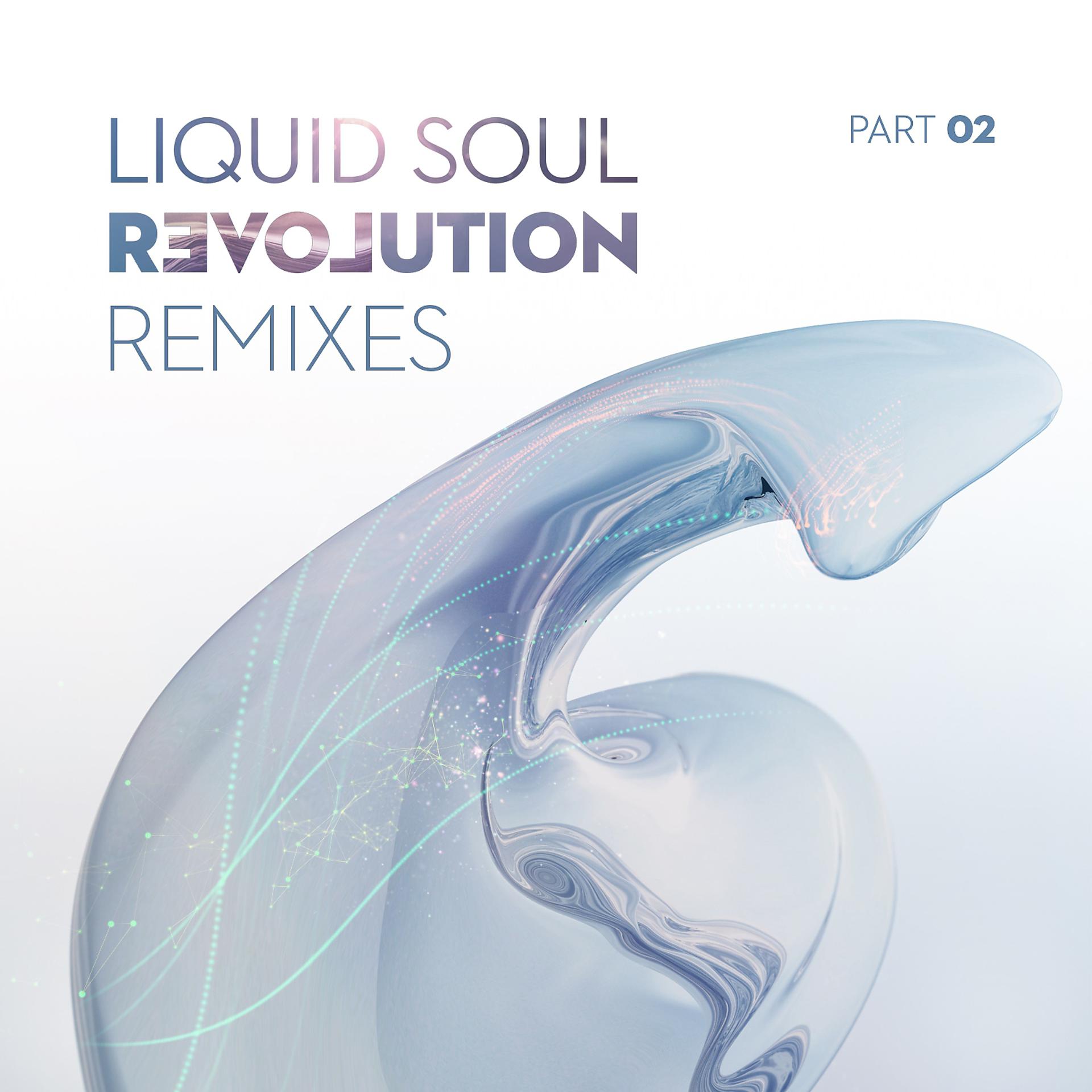 Постер альбома Revolution Remixes, Pt. 2