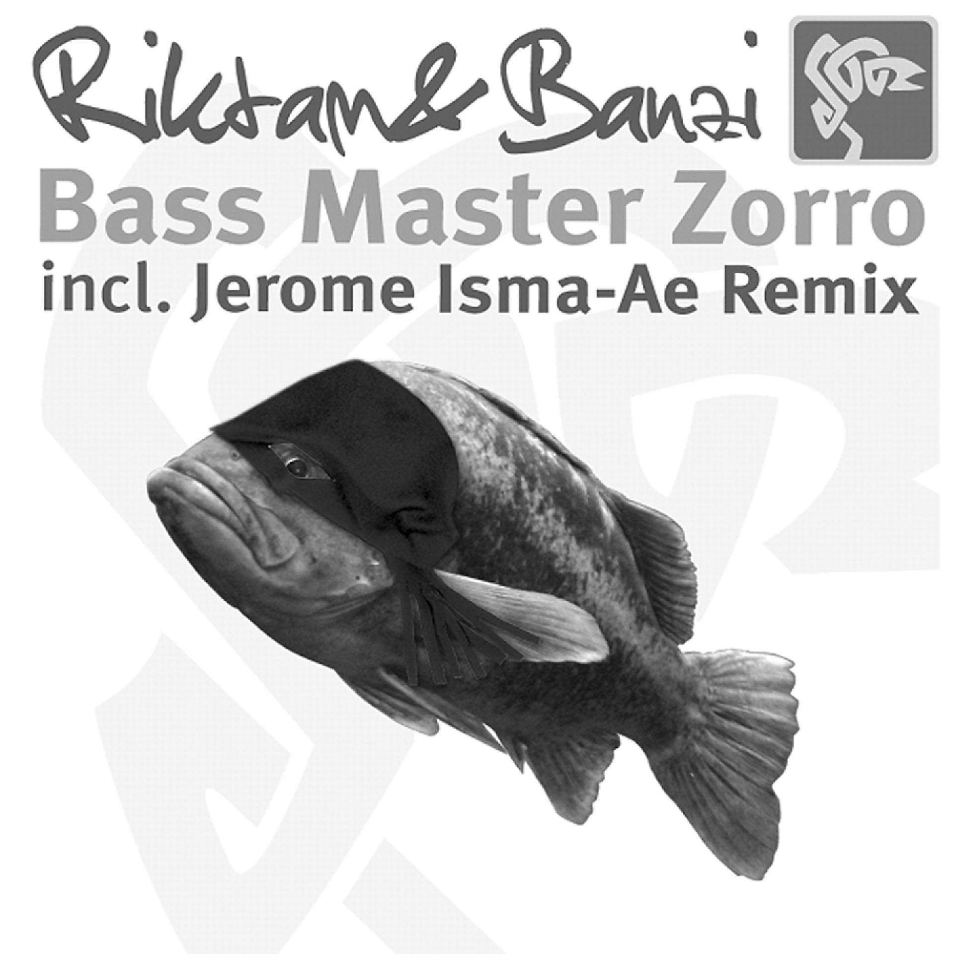 Постер альбома Bass Master Zorro