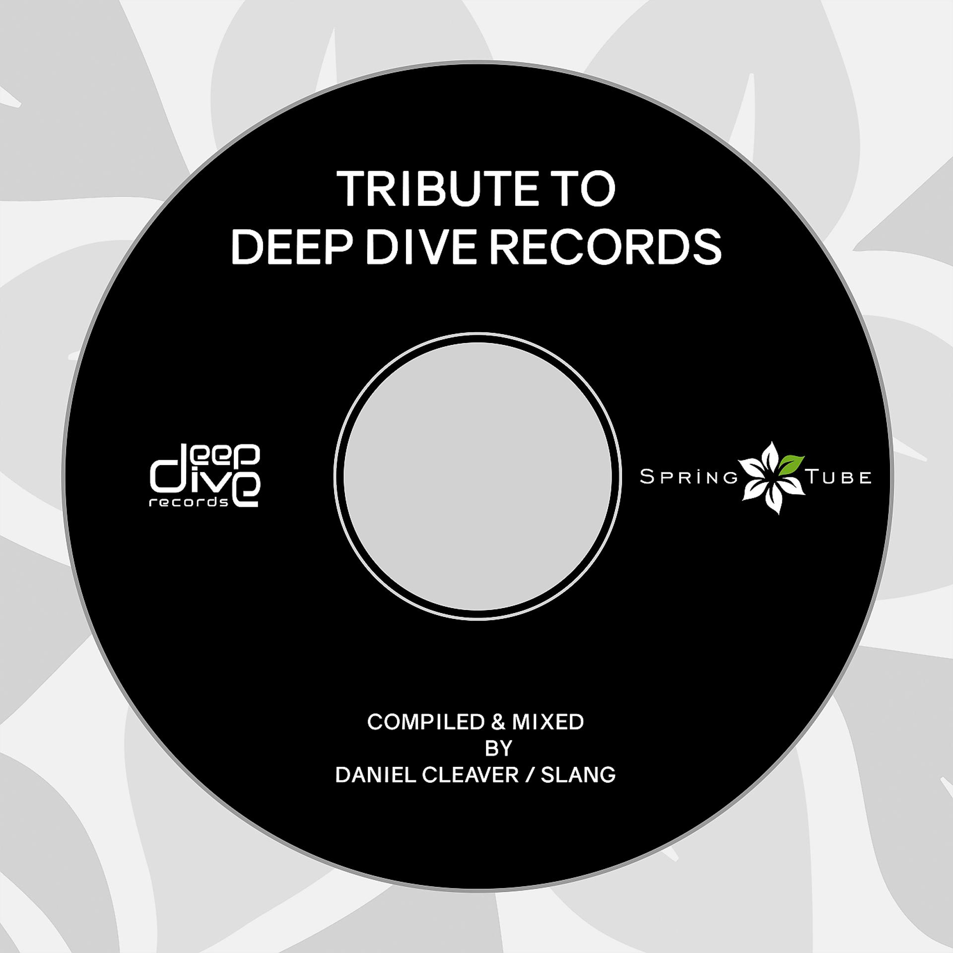 Постер альбома Tribute to Deep Dive Records