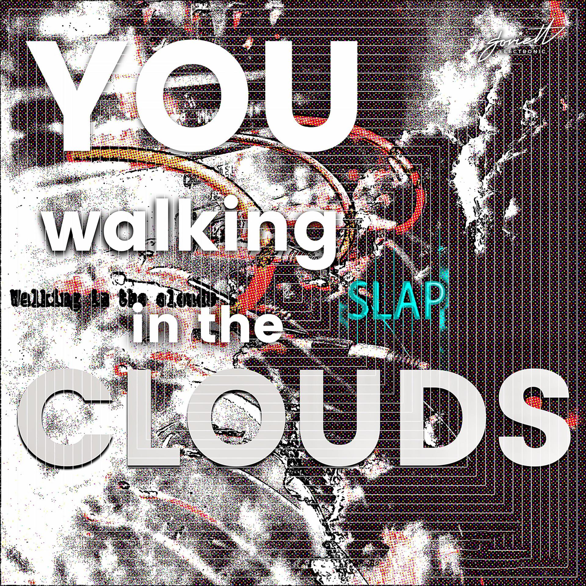 Постер альбома You Walking in the Clouds