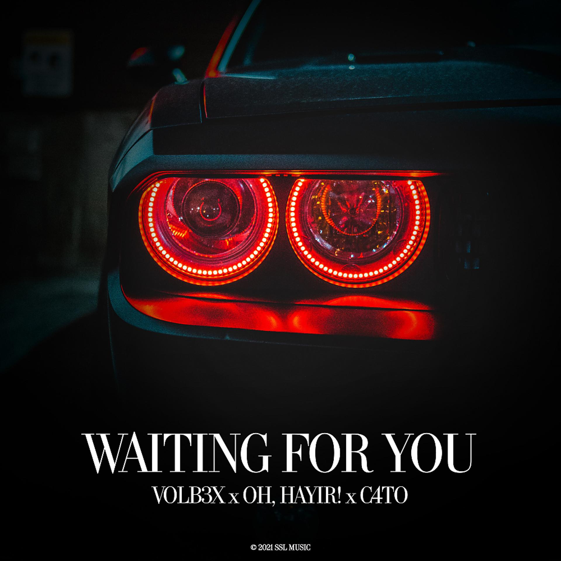 Постер альбома Waiting For You