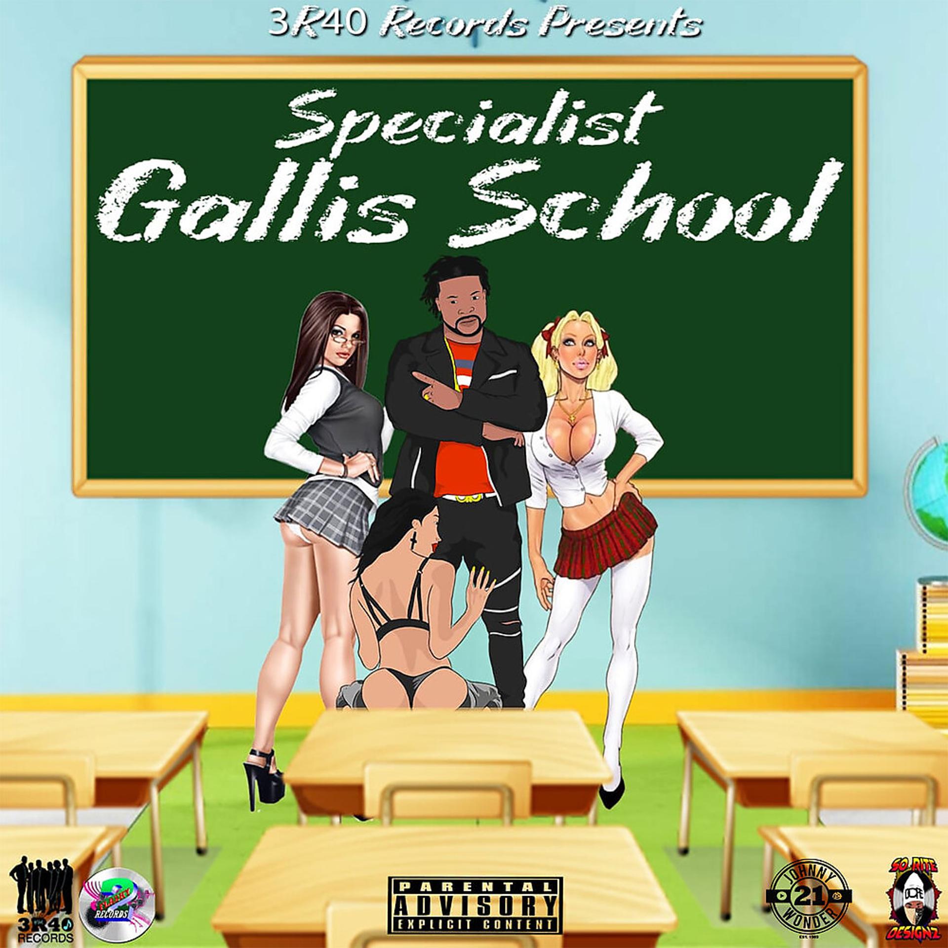 Постер альбома Gallis School