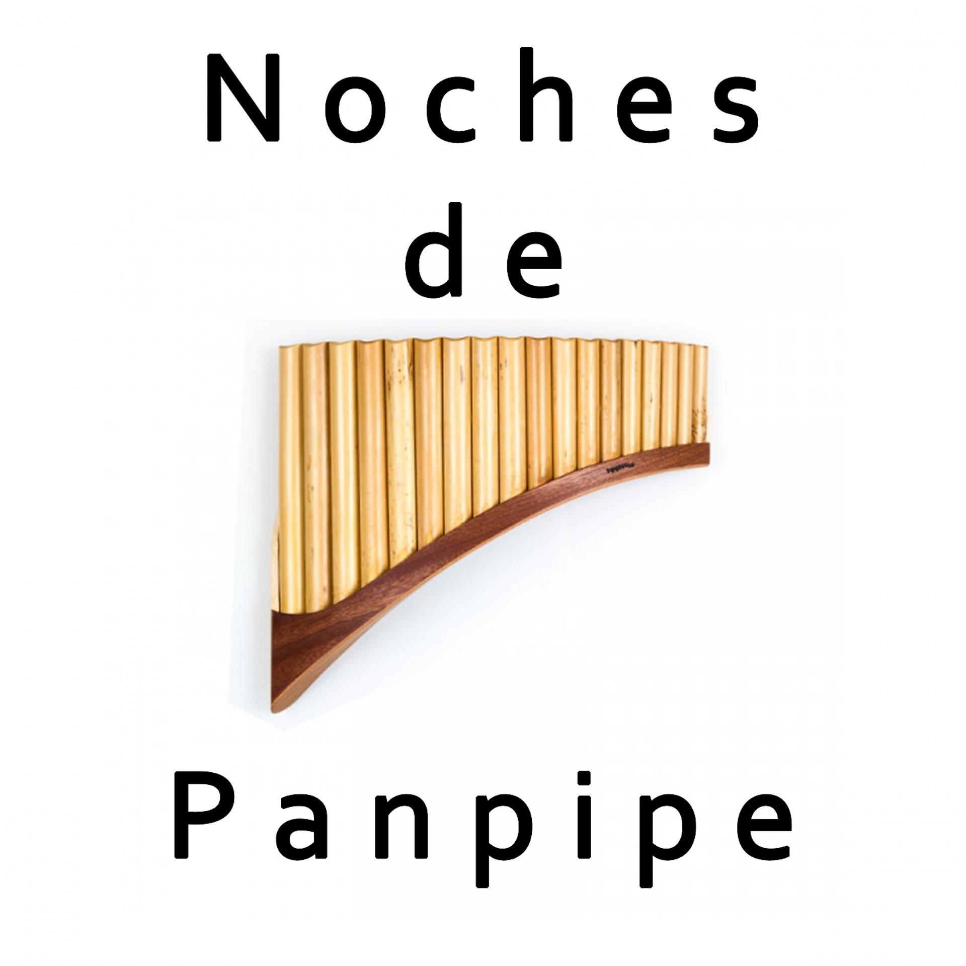 Постер альбома Noches De Panpipe